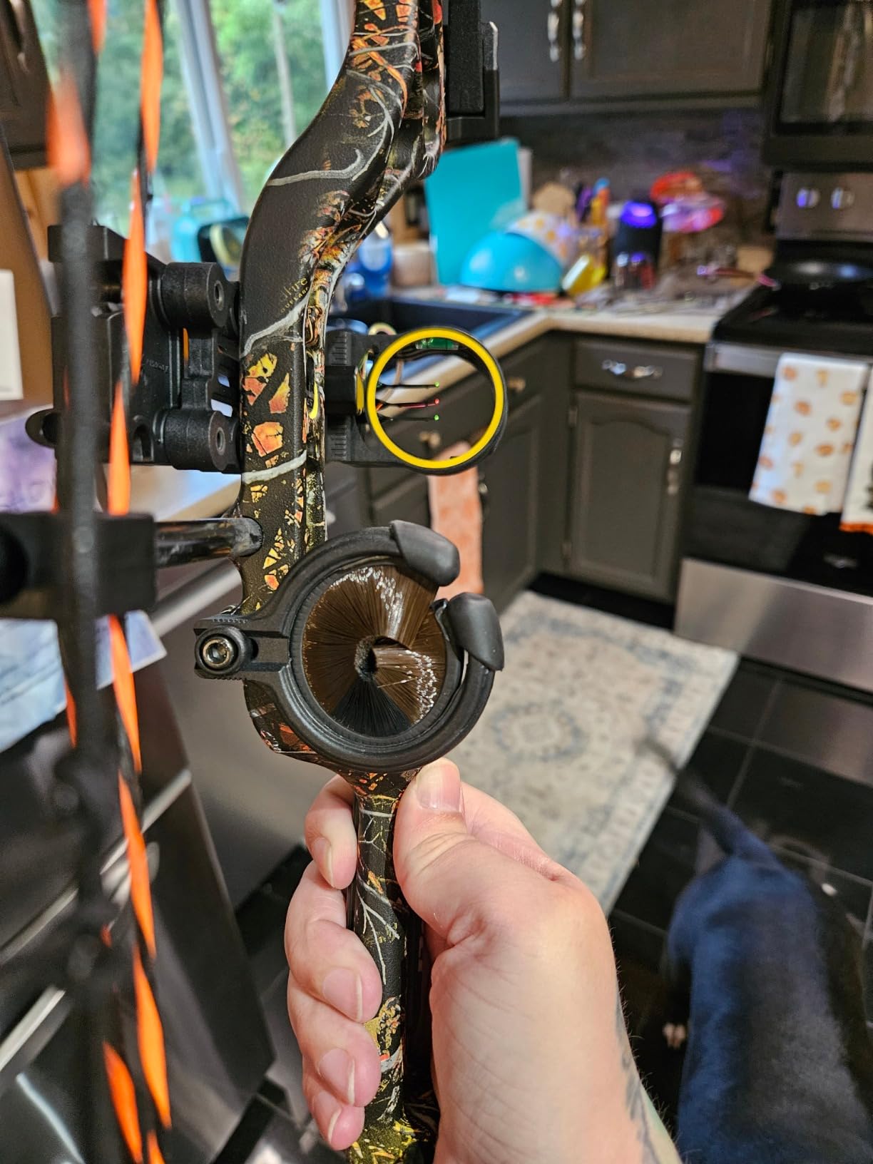 Bear Archery Royale Ready to Hunt Compound Bow Archery Set customer photo 1
