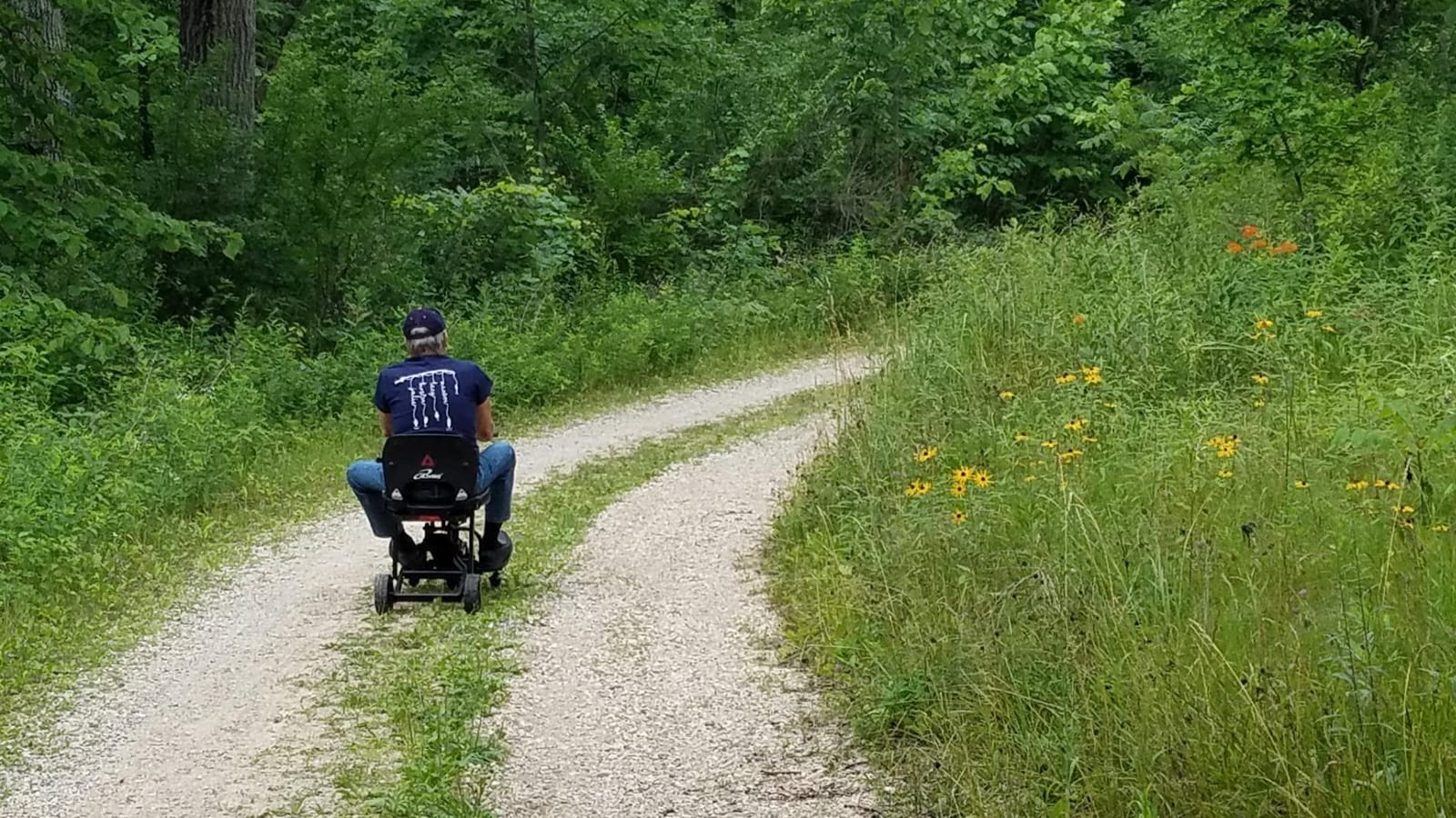 iLiving V8 Foldable Electric Mobility Scooter customer photo 1