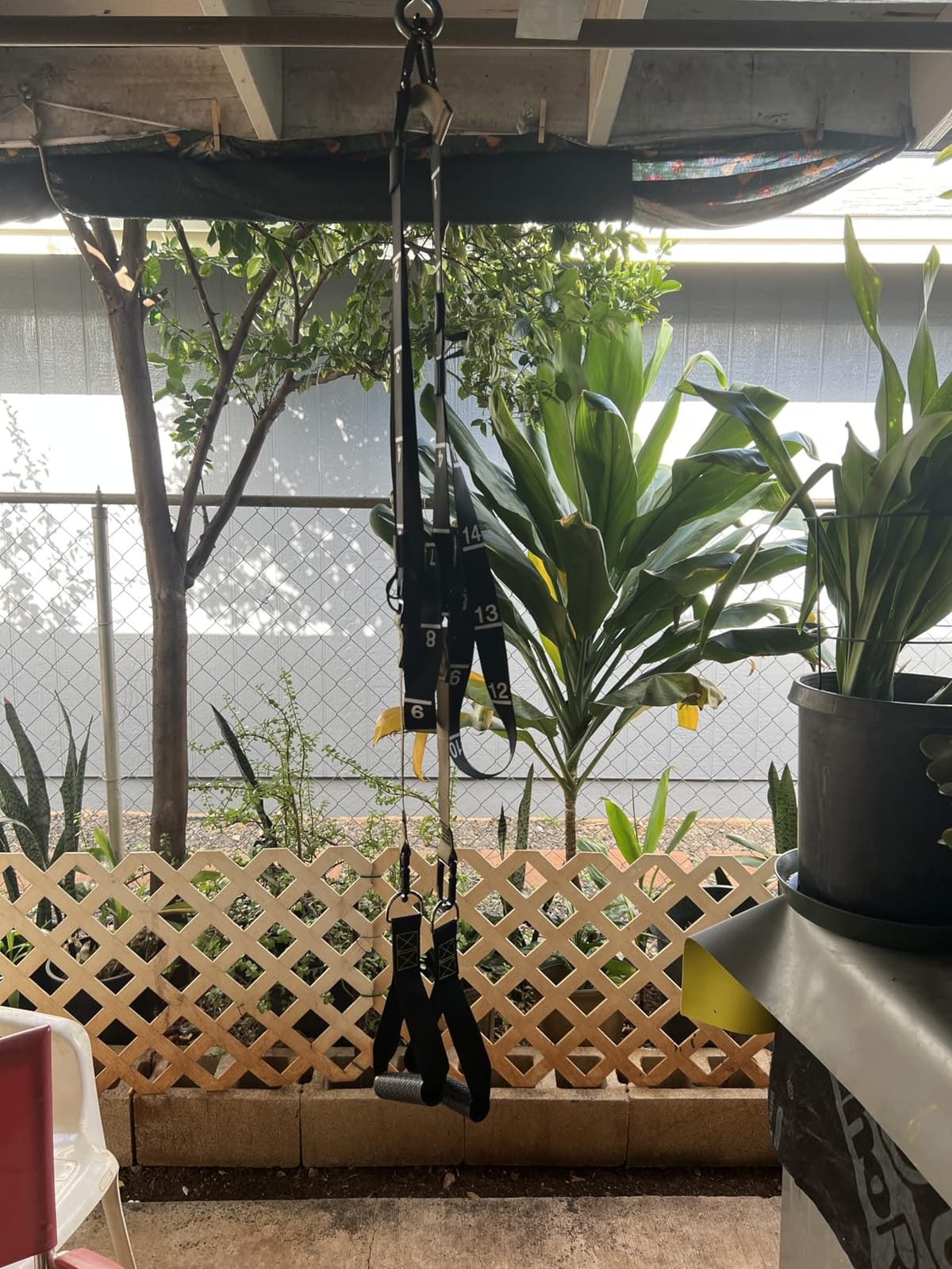 Suspension Trainer, Bodyweight Training Straps for Full Body Workouts at Home, Includes Door Anchor, Extension Arms and Advanced Foot Straps. Green customer photo 2