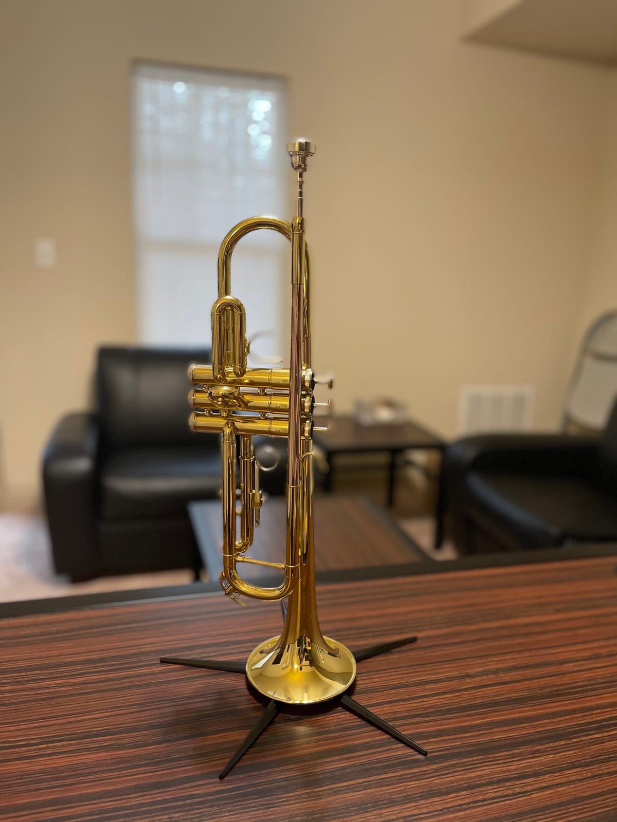 Libretto Gold Lacquer Bb Trumpet Set, Rose Brass Leadpipe | Standard for Beginner & Intermediate Students, Stainless Valve, 7C Mouthpiece, Durable Case, Portable Stand, Care Kit customer photo 1