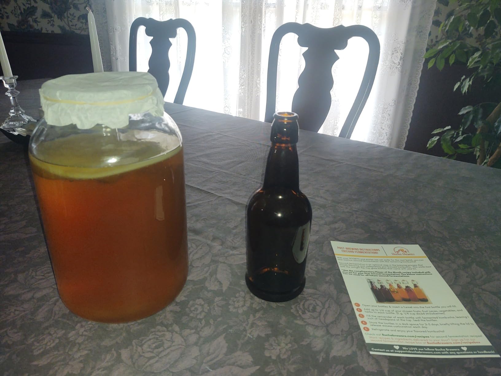 Deluxe Kombucha Starter Kit with Kombucha SCOBY & Starter Tea, Full Kombucha Kit with Bottles Swing Top Glass Bottles Kombucha Brewing Kit + 6 Bottles to Flavor Kombucha (Clear Bottles) customer photo 2