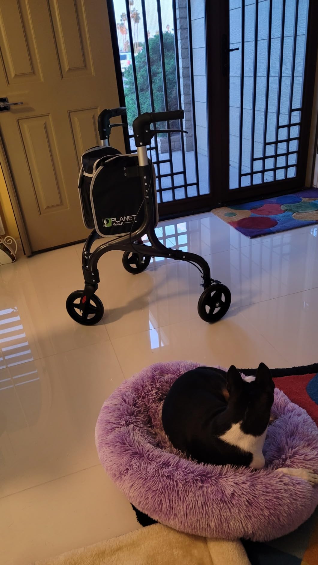 PLANETWALK Premium 3 Wheel Rollator Walker for Seniors - Ultra Lightweight Foldable Aluminum Mobility Aid with Height Adjustable Handle and 8 Inch Wheels, Black customer photo 2