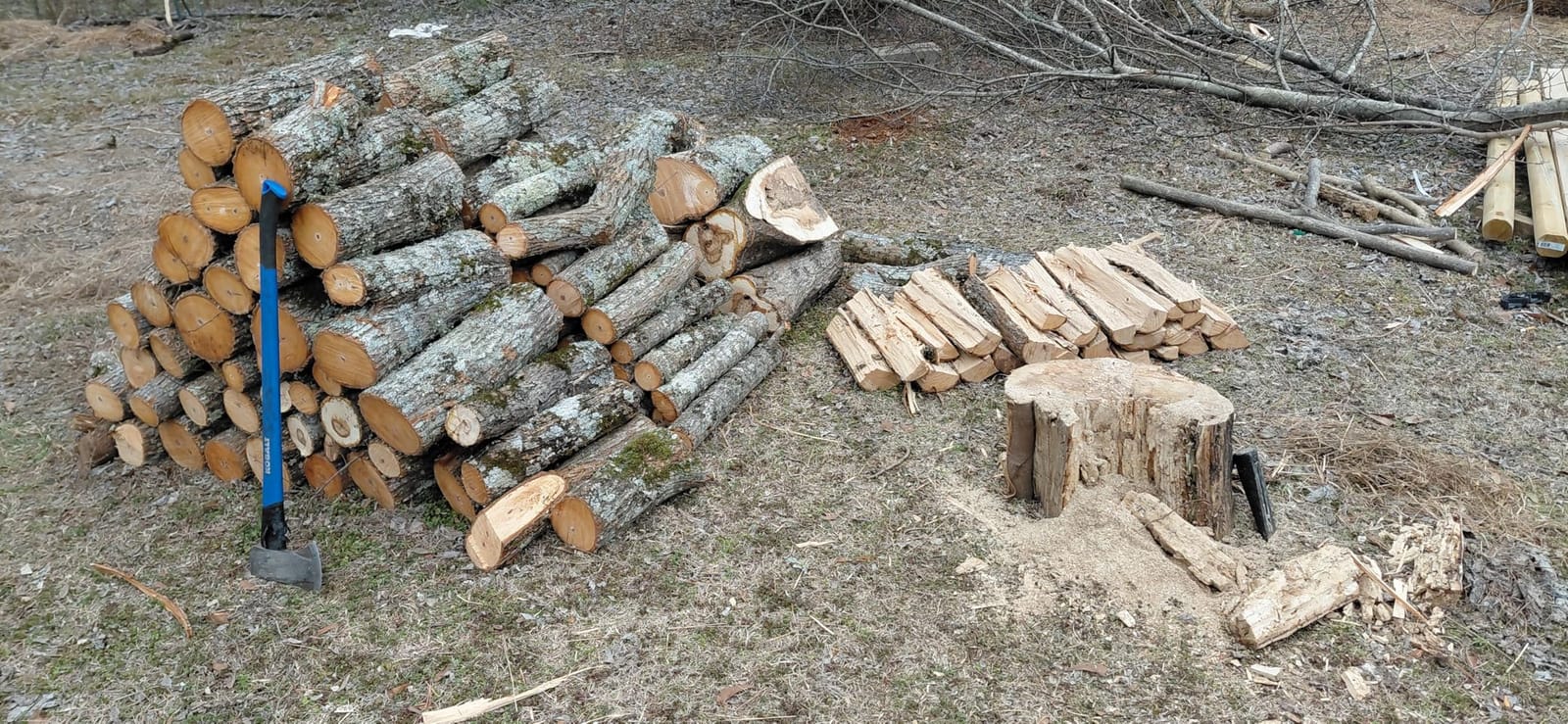 EGO POWER+ Chain Saw, 16