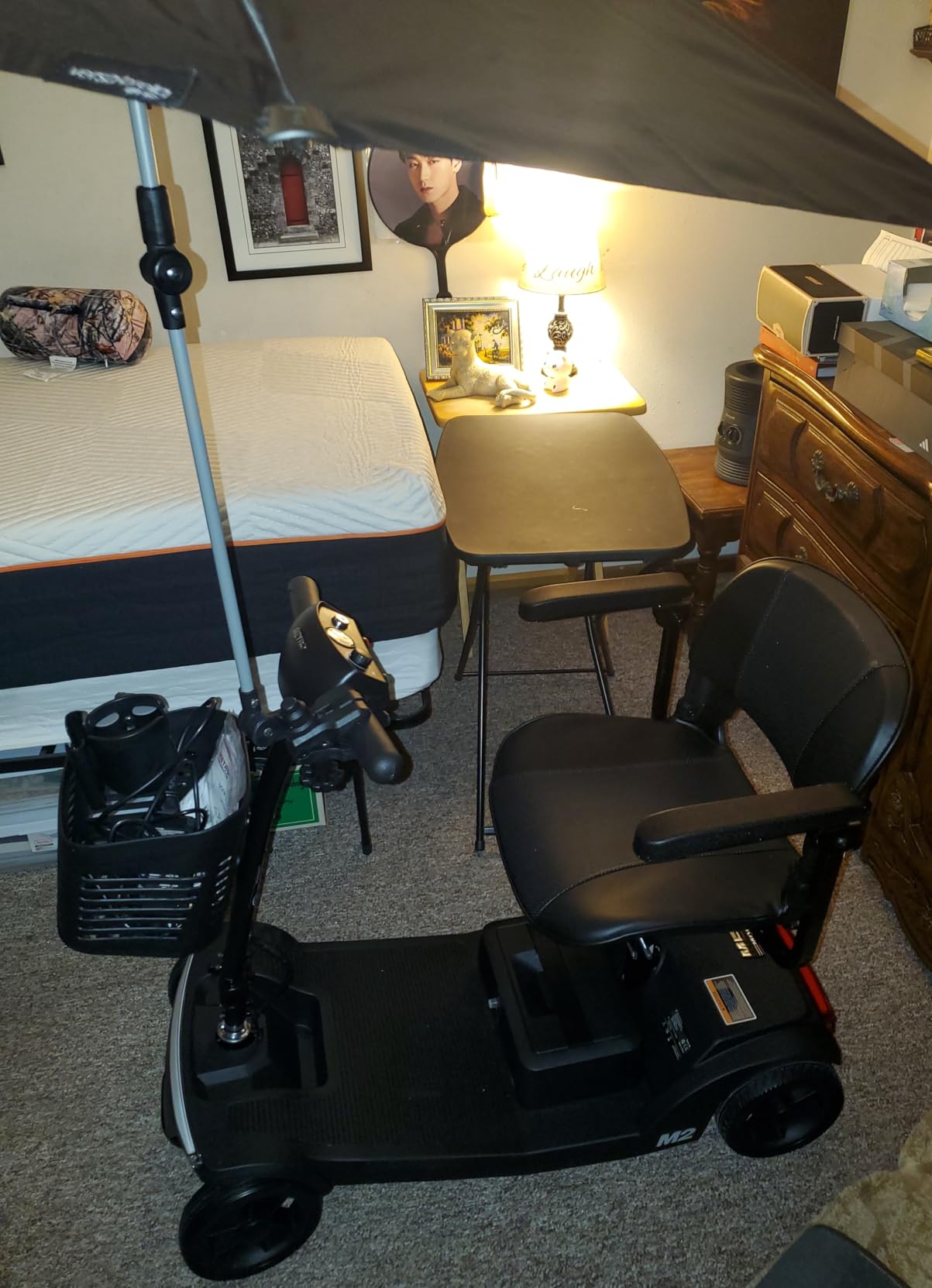 Heavy Duty Mobility Scooter for Seniors/Adults 25-35Miles 500W 450lbs Blue | 10