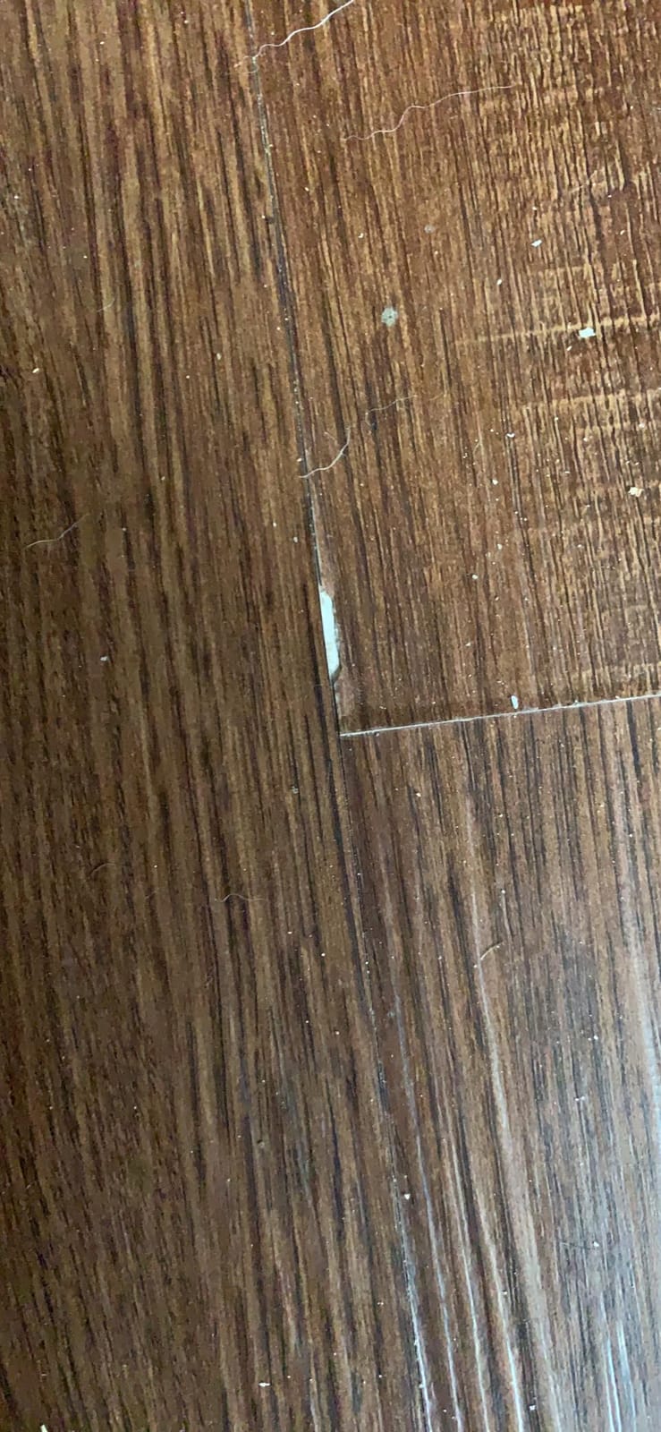 Lucida Surfaces MaxCore Pro 7.31x48in 20mil 5mm 24.5SqFt Click Lock LVP customer photo 2
