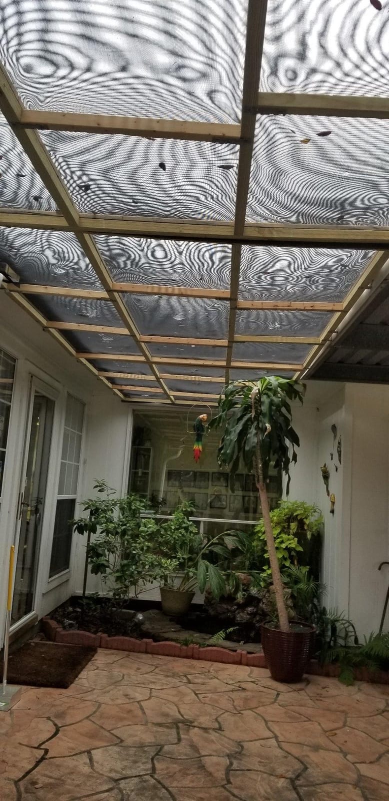 Phifer Solar Screen Mesh 80% Shade - Black, Roll 60 in x 25 ft | Energy-Saving Solar Screen Roll, DIY Exterior Sun Shades for Reduced Glare and More Privacy, Window, Patio, & Porch customer photo 2