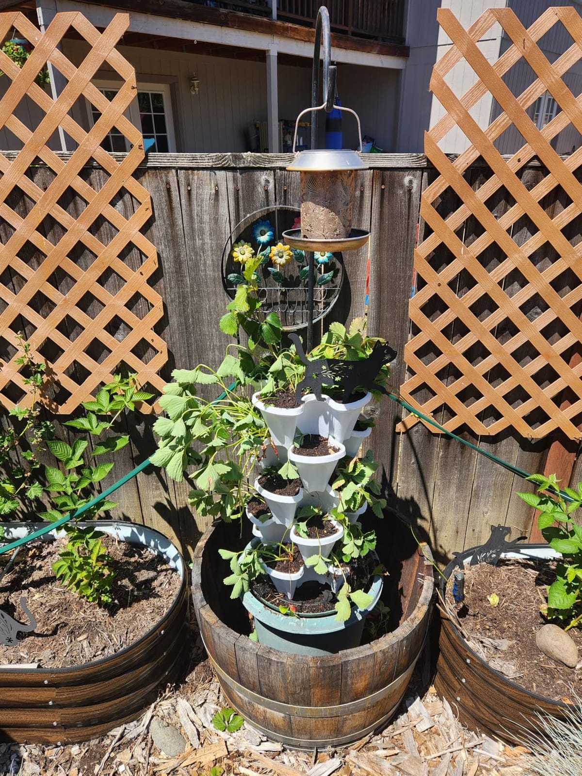GameXcel Vertical Planter Tower - 5 Tier Stackable Garden Planters with Wheels and Tools Plant Pots for Strawberry Herb Flower and Vegetable Indoor Outdoor Use Dark Gray customer photo 2