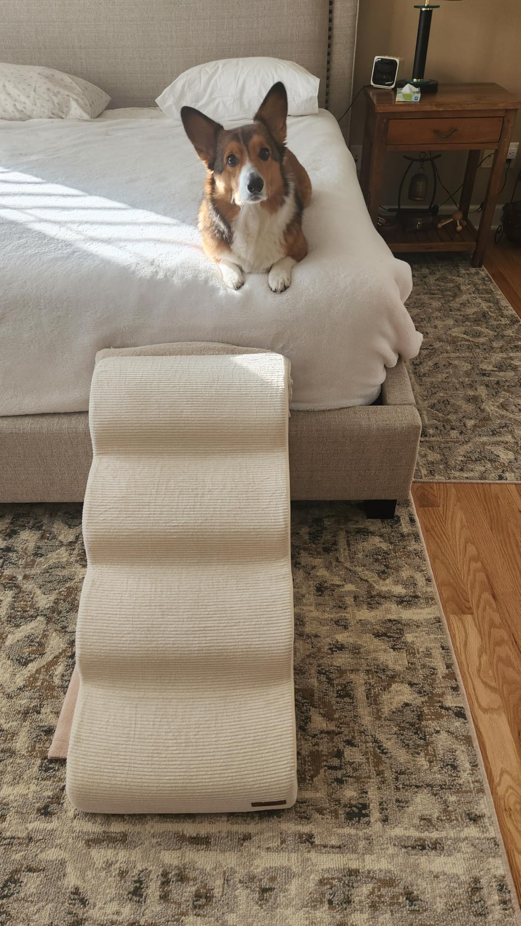 Lesure Dog Pet Stairs for Small Dogs, Beige, 4 Steps | Pet Steps Ramp for High bed and Couch, CertiPUR-US Certified Foam customer photo 2