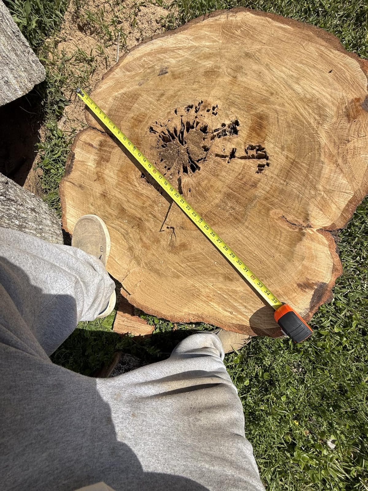 EGO POWER+ Chain Saw, 20