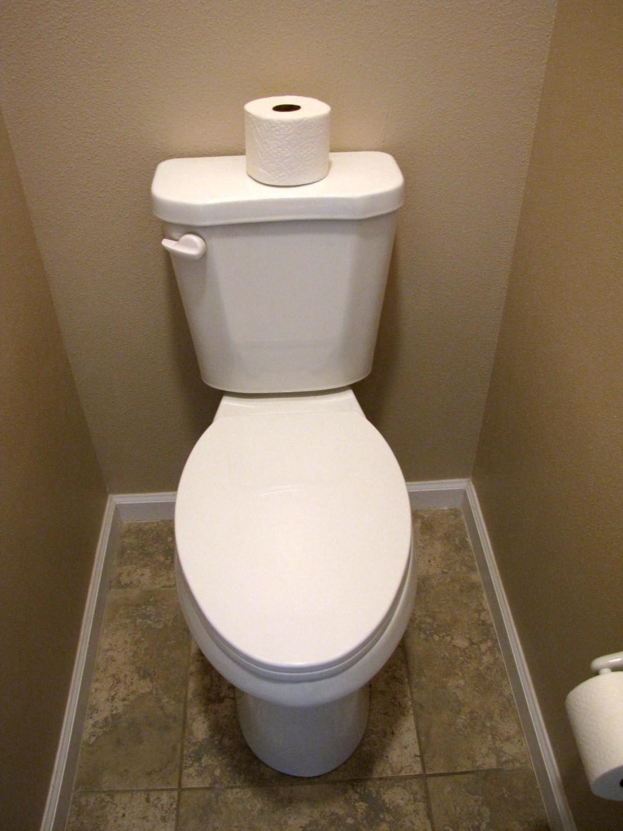 Simple Project 21 Inch High Tall Toilet for Seniors & Tall Person, 1.28GPF | Elongated Comfort Seat, 1.28 Gpf Powerful Single Flush Extra Tall Toilet, 12 Inch Rough In Bathrooms Comfort Height Toilet customer photo 1