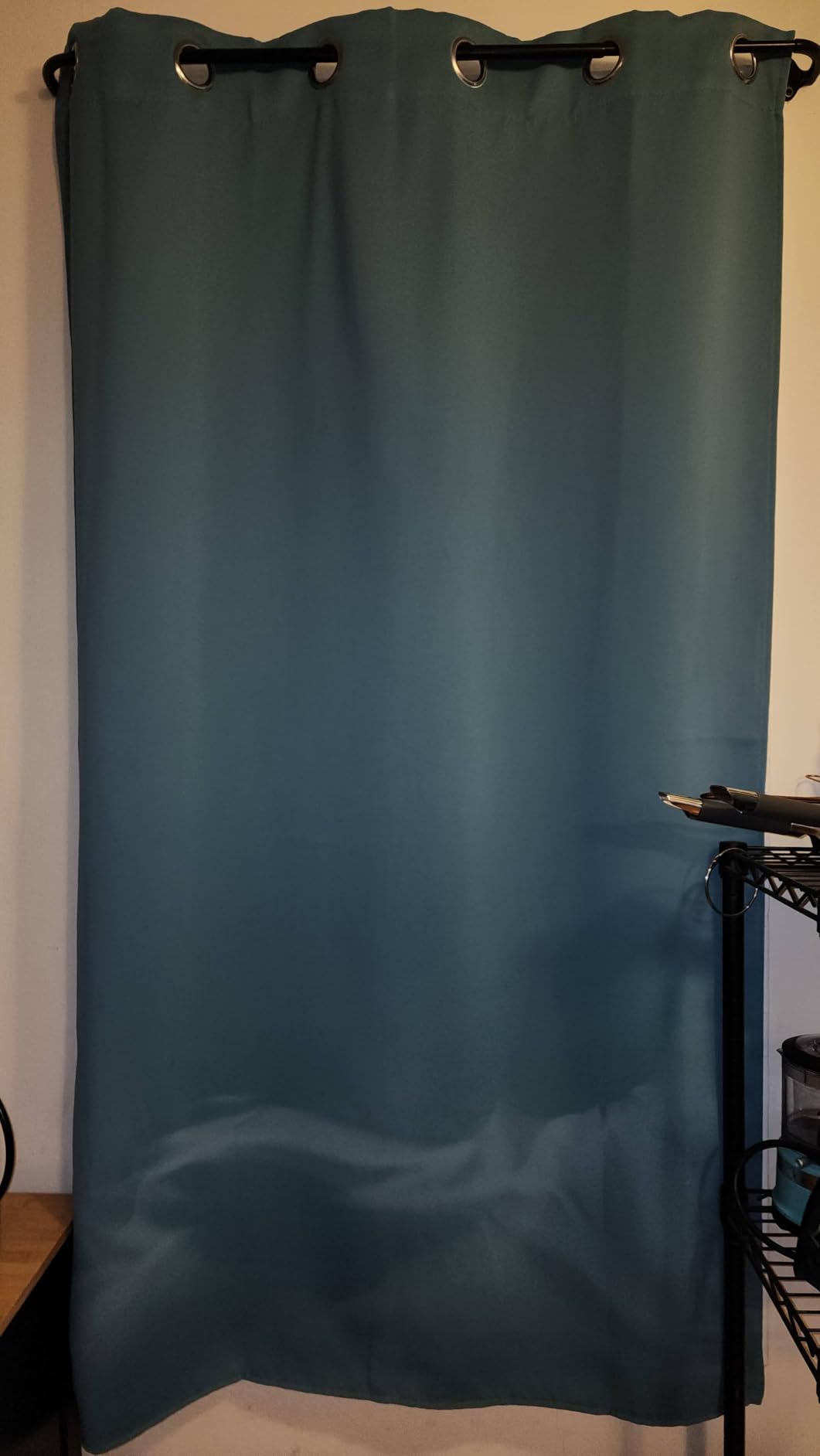 Rowenta Pure Force 2in1 Steamer & Iron: Powerful 1875 Watts, Vertical Steaming & Horizontal Ironing, Auto-off, XL Tank Capacity (7.1 Oz), Green Clothes Steamer DR8822 customer photo 1