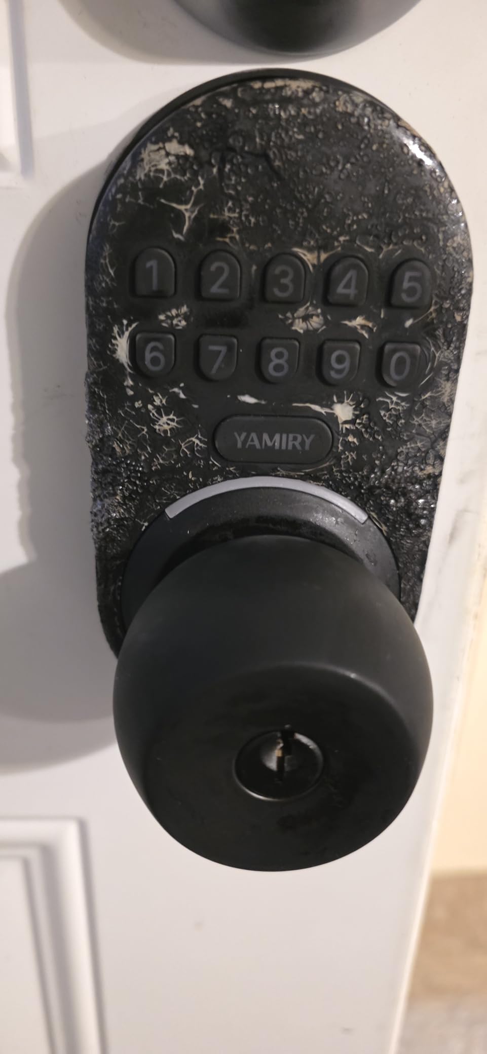 Yamiry Keypad Smart Door Knob Lock, Keyless Entry Digital Lock with Handle | 20 User Codes, Auto Lock, Backlit Keypad customer photo 1