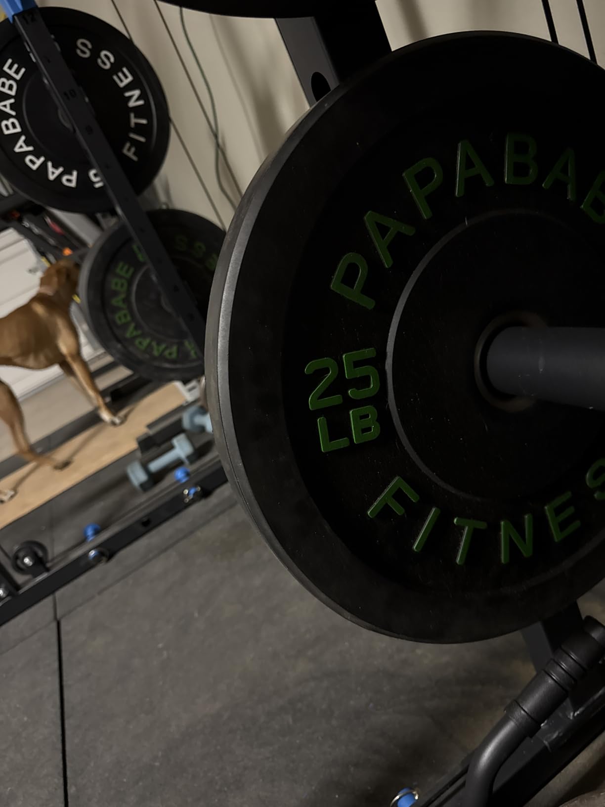 Papababe 20-650lbs Bumper Plates 2