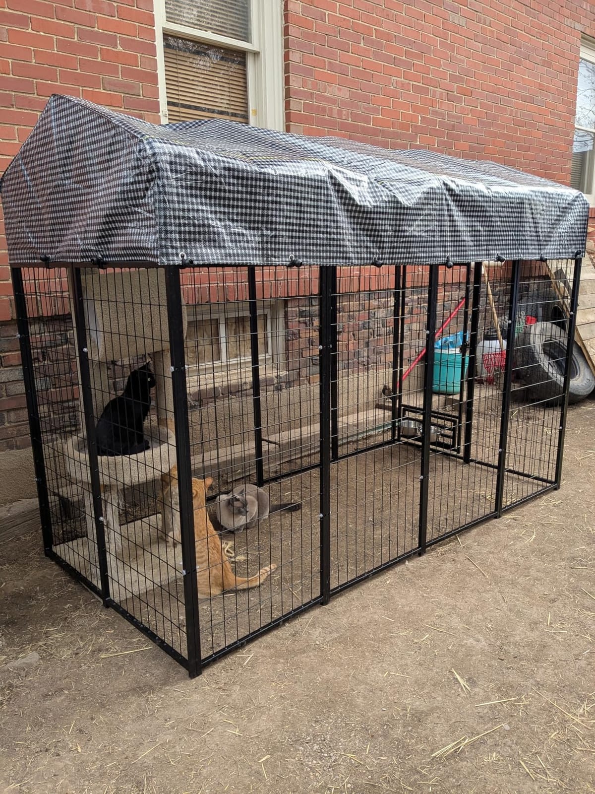 Large Outside Dog Kennel, Outdoor Dog Run Enclosure 8'x4'x6' (Including the roof) Dog Pen House with Roof Cover Heavy Duty Welded Wire Steel Dog Playpen Animal Fence with Feeding Door customer photo 1