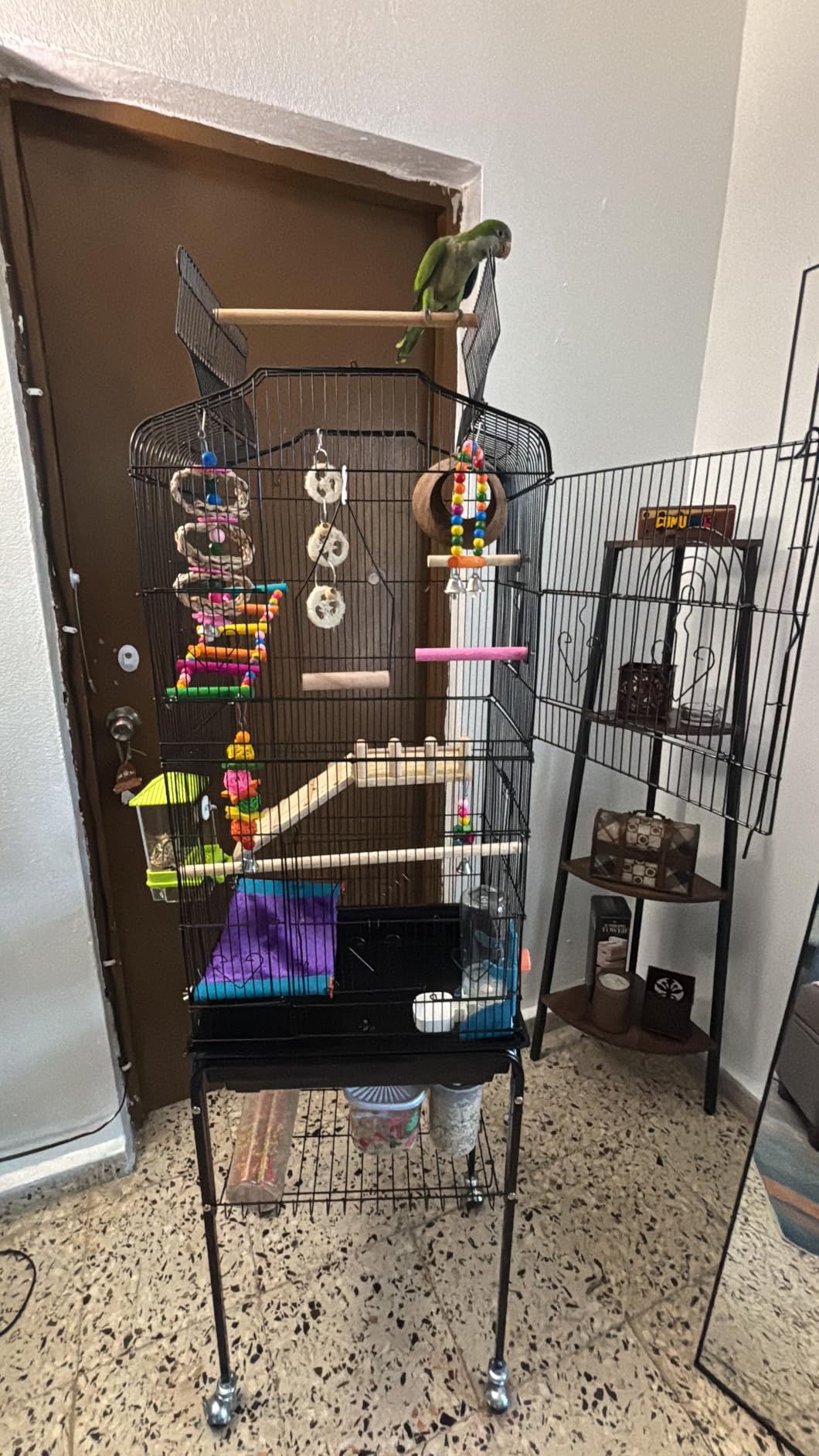 VEVOR 64-inch Open Top Large Parrot Bird Cage with Detachable Rolling Stand for Parakeets Finches Canaries Lovebirds Cockatiels Budgies Small Quaker Conures Flight Birdcage with Swing and Perch customer photo 2