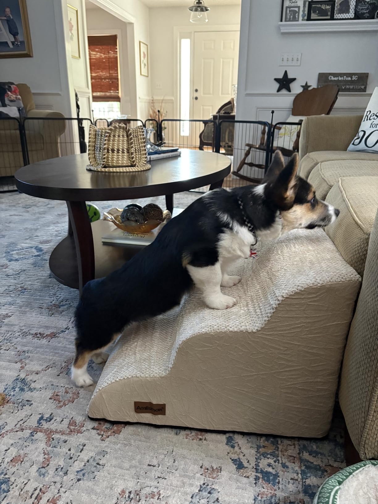 Aodisman Dog Stairs for Small Dogs, 3 Step Dog Ramp for Couch, Non-Slip Steps | Pet stairs help small dogs, old cats, and puppies reach couches customer photo 1
