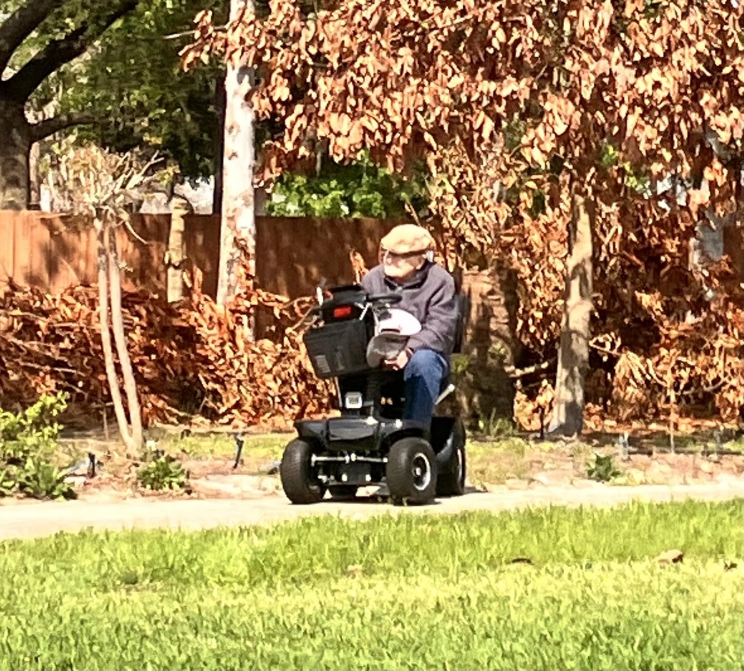 Mobility Scooters for Seniors and Adults, All-Terrain Mobility Scooter with Waterproof Cover, Heavy Duty 4-Wheel Electric Powered Mobility Cart Handicap Scooters, 1000W Motor customer photo 1