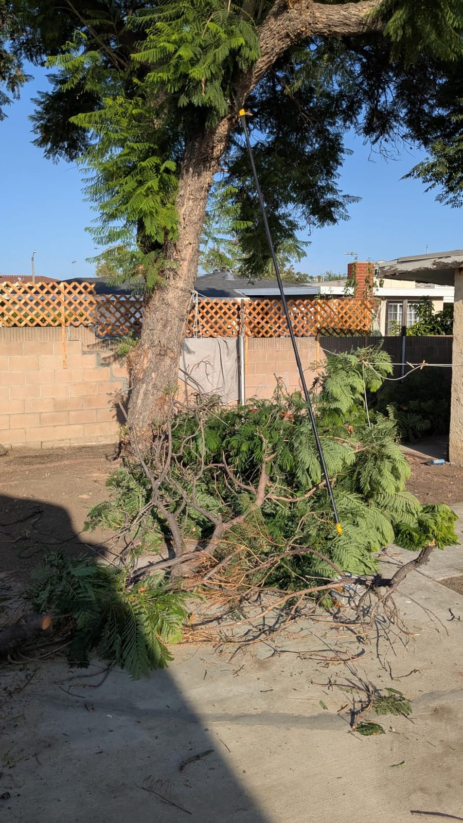 14.5FT Pole Saw with Adjustable Length for Tree Trimming, Lightweight Manual Pruning Saw with Mn Steel Blade, Long Extension Branch Cutter Pole Pruner for Yard, Garden, Patio & Forestry Use customer photo 1