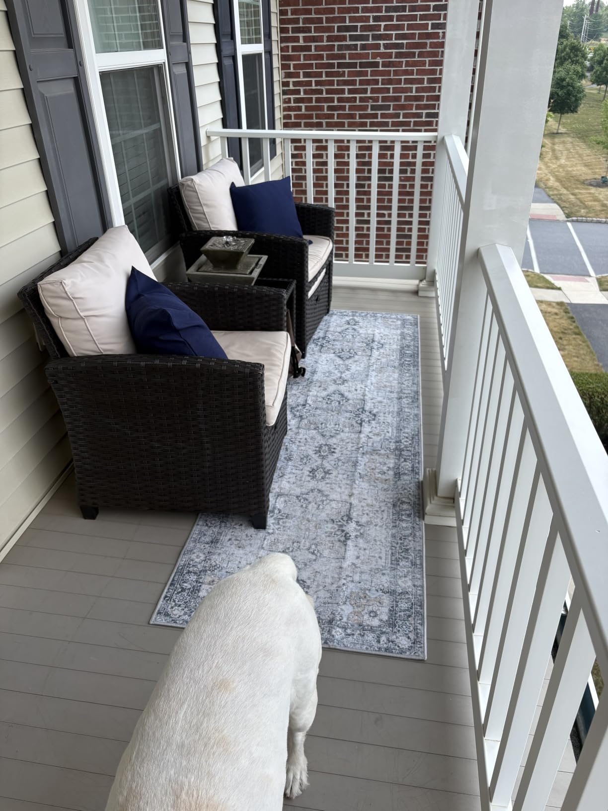 GENIMO 5x8 Outdoor Rug, Washable for Patio and Deck, Blue | Vintage boho medallion design for porch; fade resistant chenille with quick-dry non-slip backing for indoor sunroom. customer photo 1