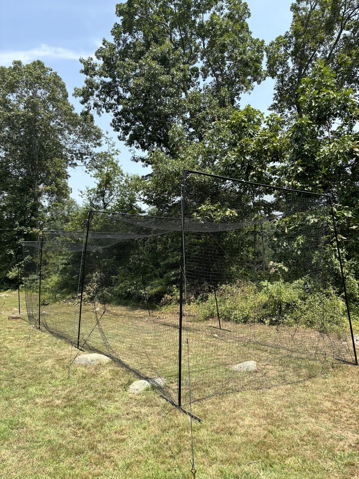 Baseball Batting Cage Net for Backyard Softball Portable Pop Up Cage | 22x12x8 Ft Outdoor Indoor Hitting Cage with Pitching Machine Hole and Detachable Door customer photo 1