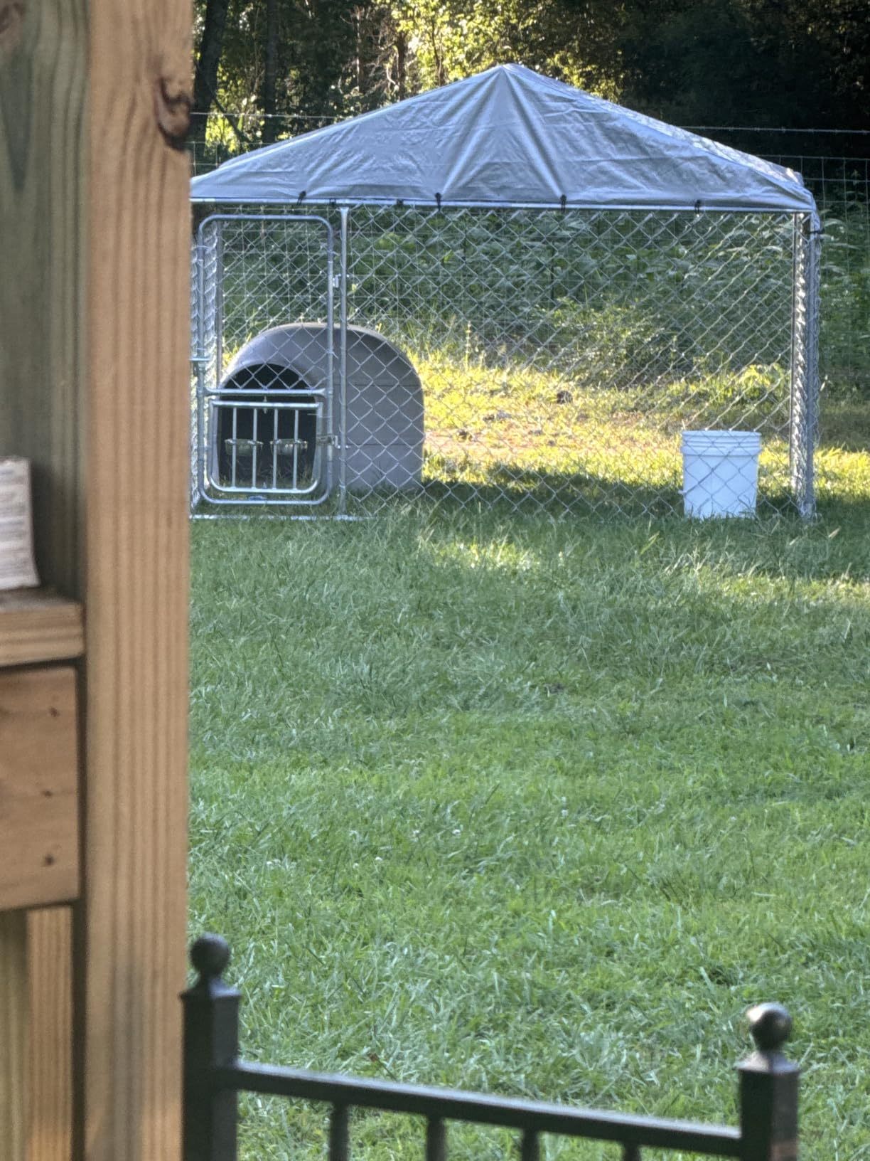 YITAHOME Outdoor Dog Kennel with Rotating Feeder Bowls | 7.5'x7.5' Outdoor Dog Enclosure with Roof, Heavy Duty Dog Cage for Medium Large Dogs customer photo 2