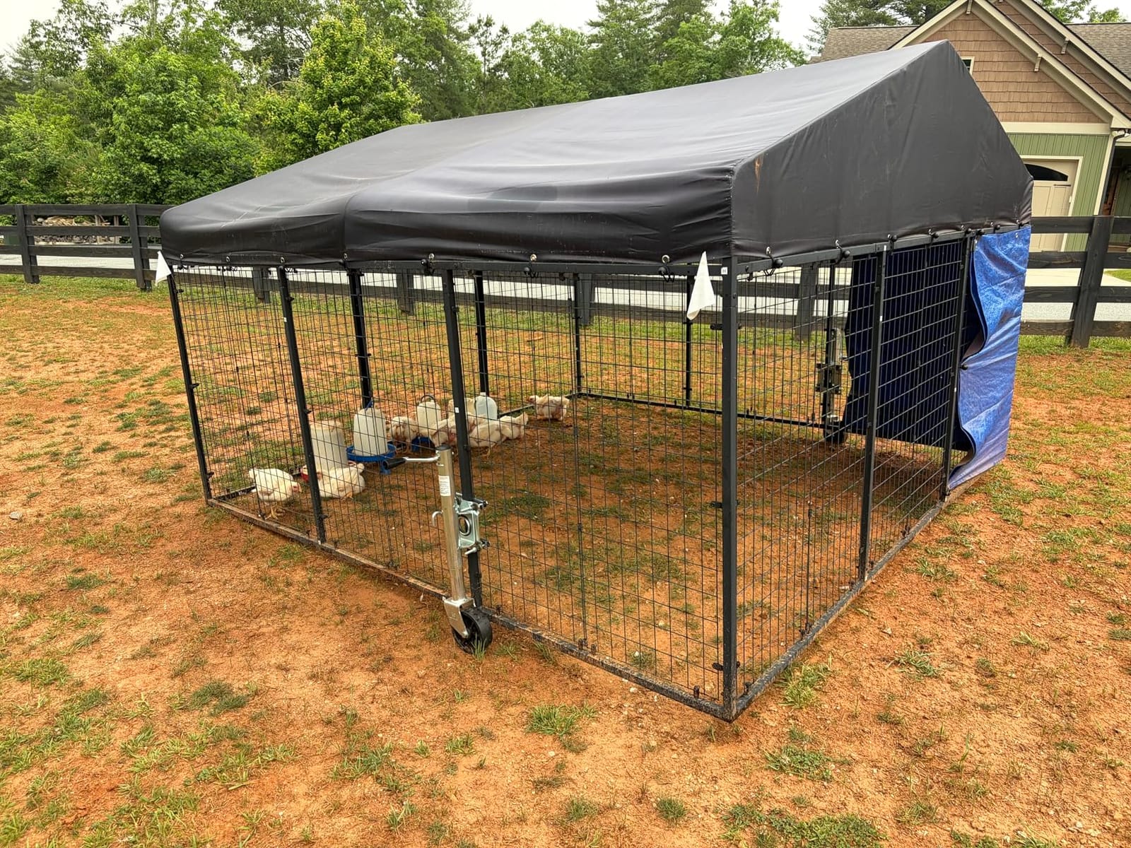 Petony Large Outdoor Dog Enclosure,Heavy Duty Dog Kennel with Roof,Galvanized Steel Dog Cage Fence with Double Safety Locks(6.56'x 6.56') customer photo 1