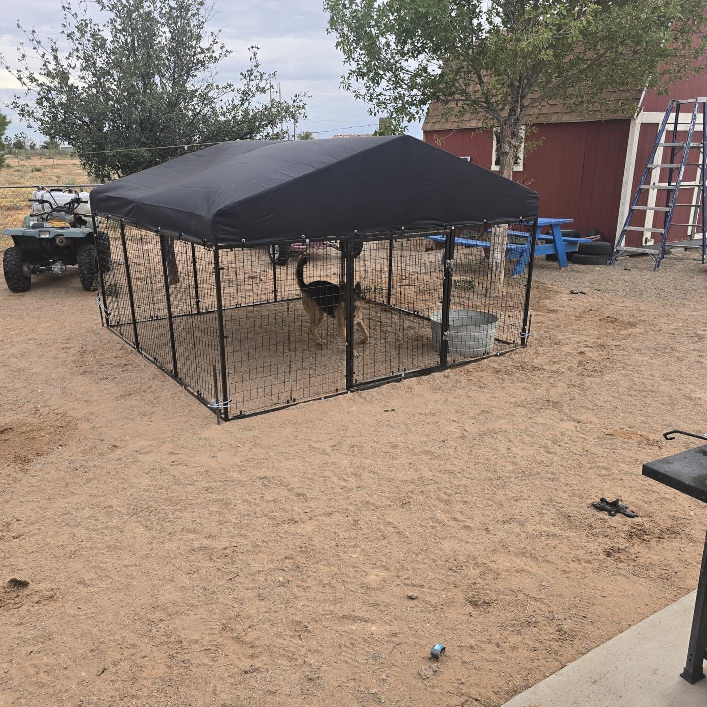 Petony Large Outdoor Dog Enclosure,Heavy Duty Dog Kennel with Roof,Galvanized Steel Dog Cage Fence with Double Safety Locks(6.56'x 6.56') customer photo 2