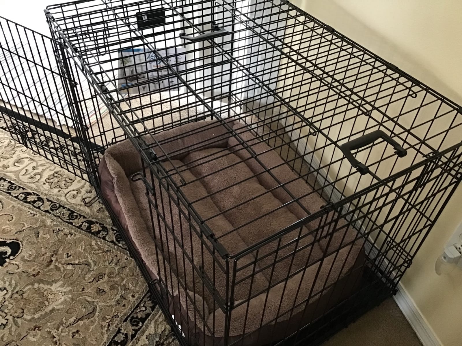 LifeStages by MidWest 48-Inch Double Door Crate, XL Breeds, 90-110 lbs customer photo 1
