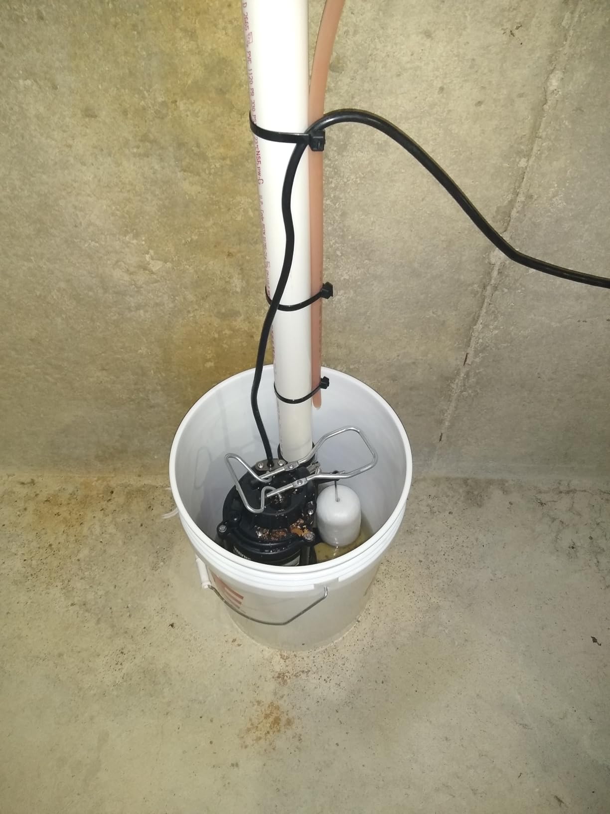WAYNE CDU790 1/3 HP Submersible Water Pump, Heavy Duty Basement Sump Pump customer photo 2