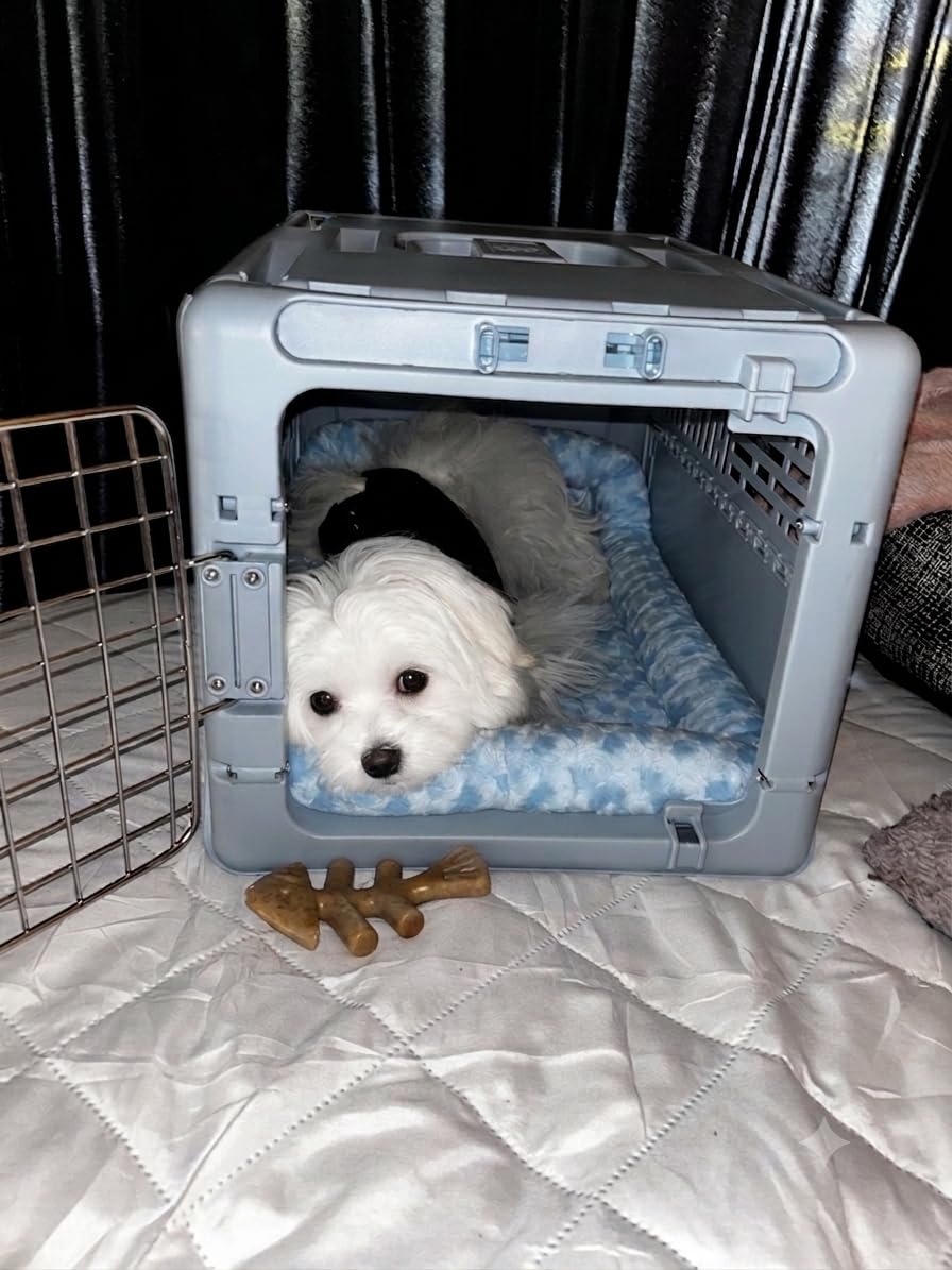 MidWest Homes for Pets QuietTime Dog Bed - White Fleece Bolster, Ultra-Soft and Machine Washable, Fits 42-Inch Crates and Carriers, for Large Breed Dogs customer photo 2
