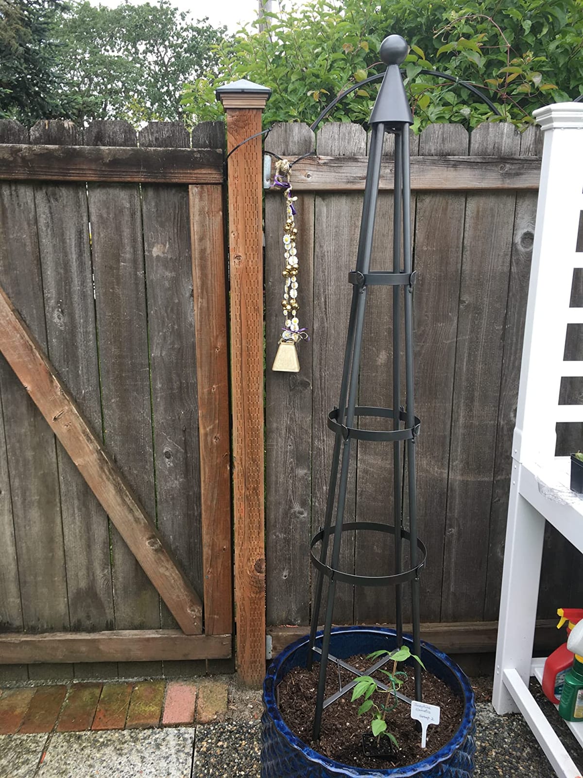 Achla Designs OBL-01, 61-in Wrought Iron Garden Obelisk Trellis, H, Graphite customer photo 1