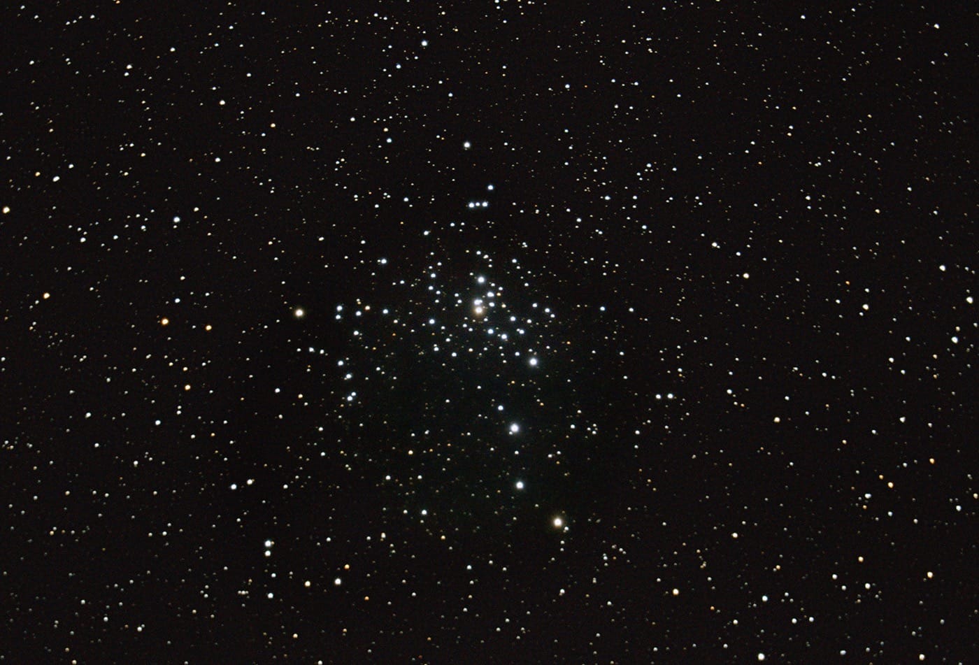 Celestron NexStar 8SE Computerized Telescope – Schmidt-Cassegrain customer photo 2