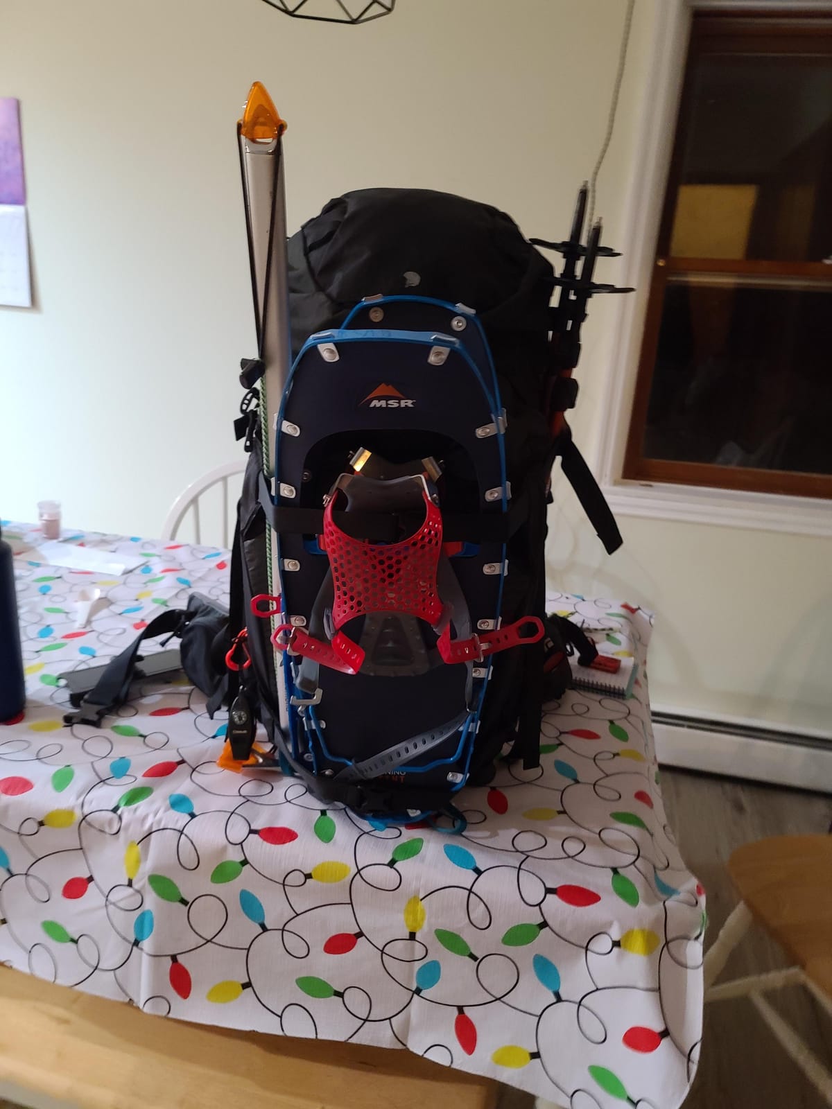 MSR Lightning Ascent customer photo 1