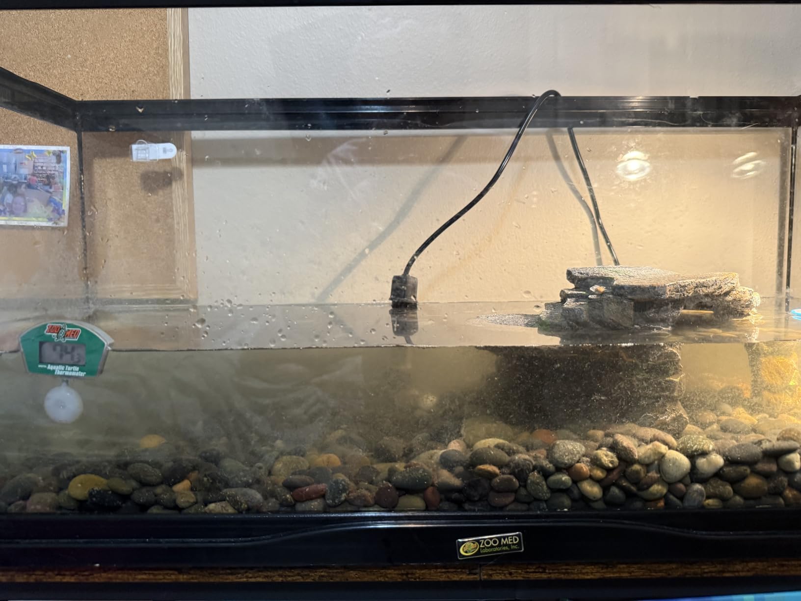 Tetra Decorative ReptoFilter Terrarium Filter For Frogs, Newts & Turtles customer photo 1