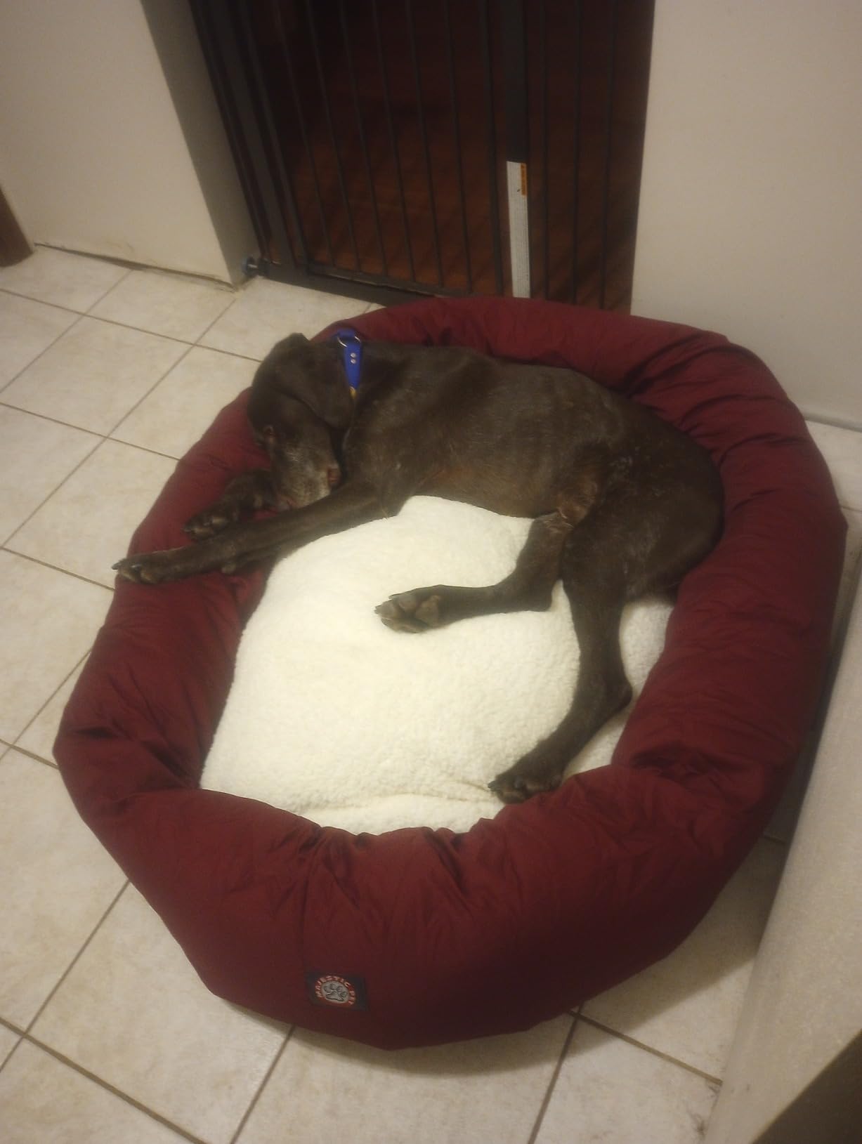 Majestic Pet Sherpa Bagel Dog Bed, 40 Inch Large, Round, Washable, Burgundy customer photo 2