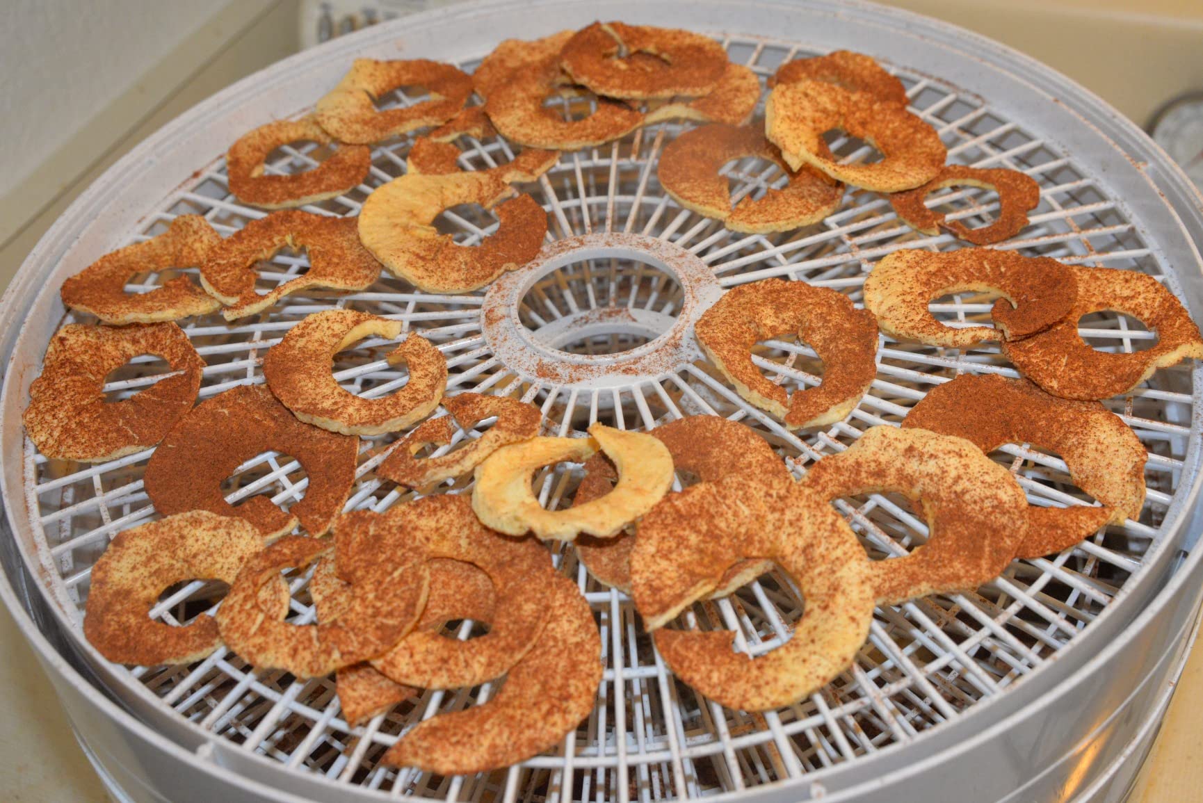 Nesco FD-60 Snackmaster Express Food Dehydrator for Great Jerky and Snacks, 4 Trays, 13.5