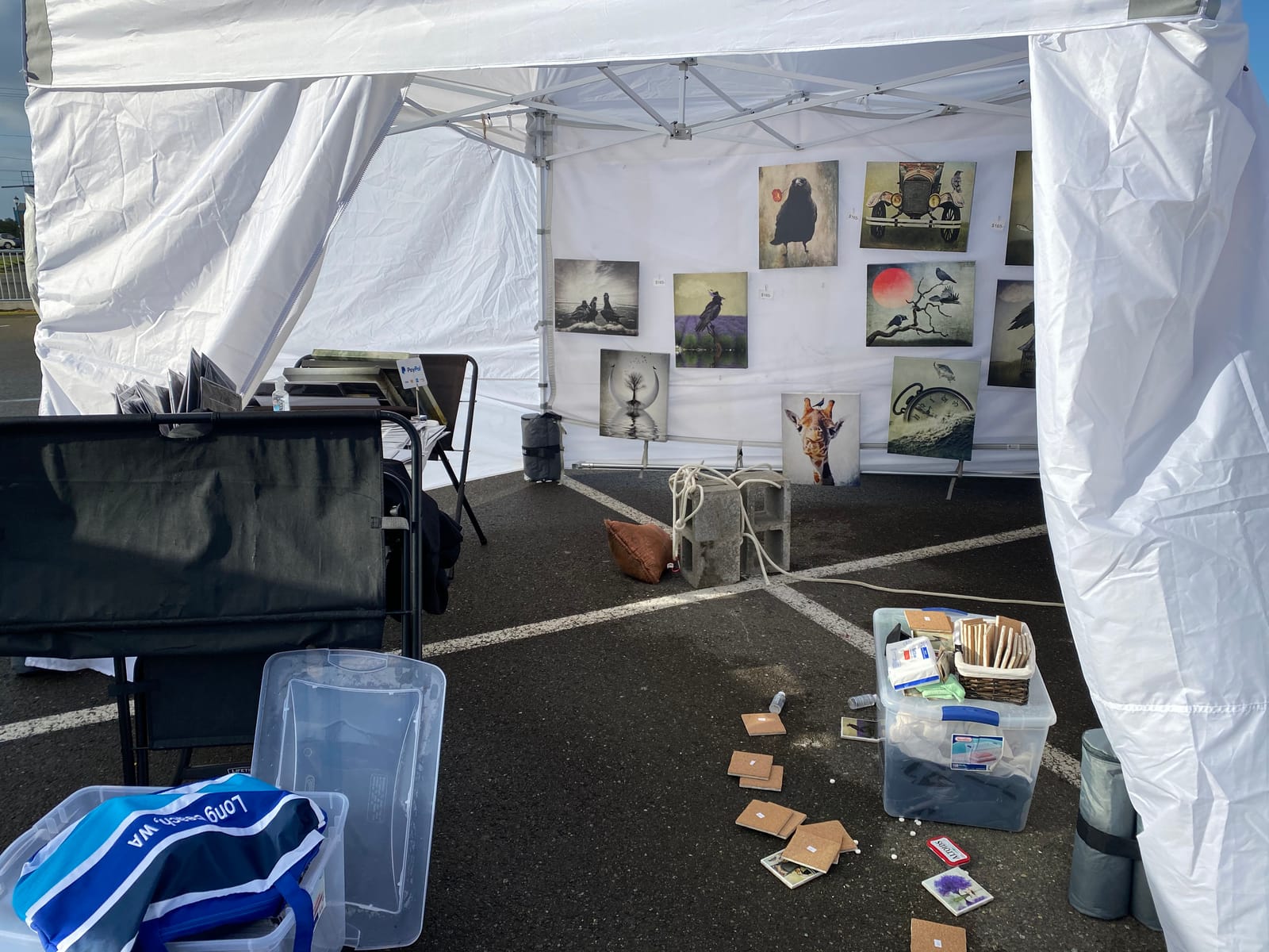 E-Z UP ES100S Instant Commercial Pop Up Canopy Tent, 10' x 10' with 3 Sidewalls, 1 Mid-Zip Sidewall and Wide-Trax Roller Bag, White customer photo 1