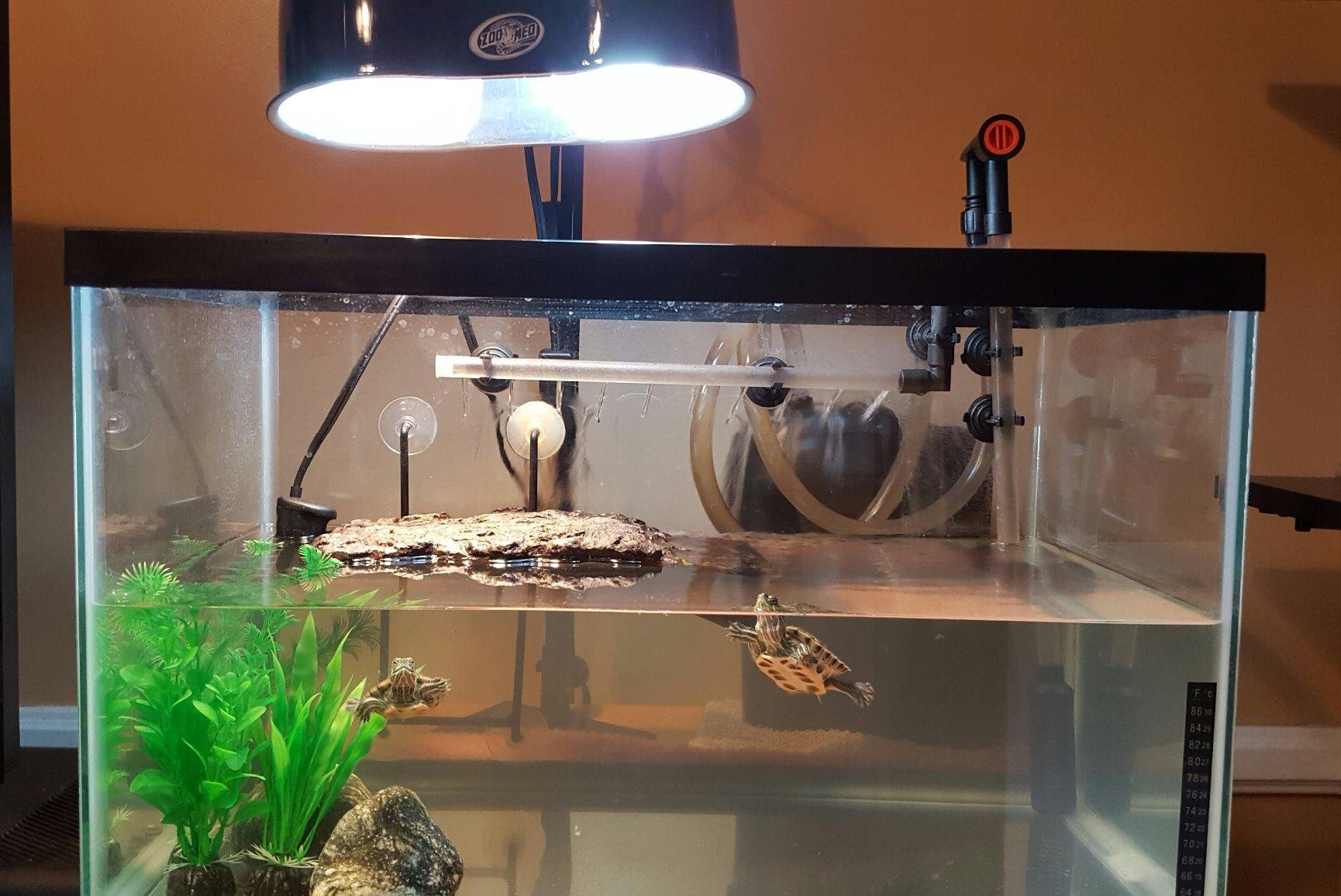 Zoo Med Turtle Clean 30 External Canister Filter for Aquatic Turtle Habitatsup To 30 gallon customer photo 1