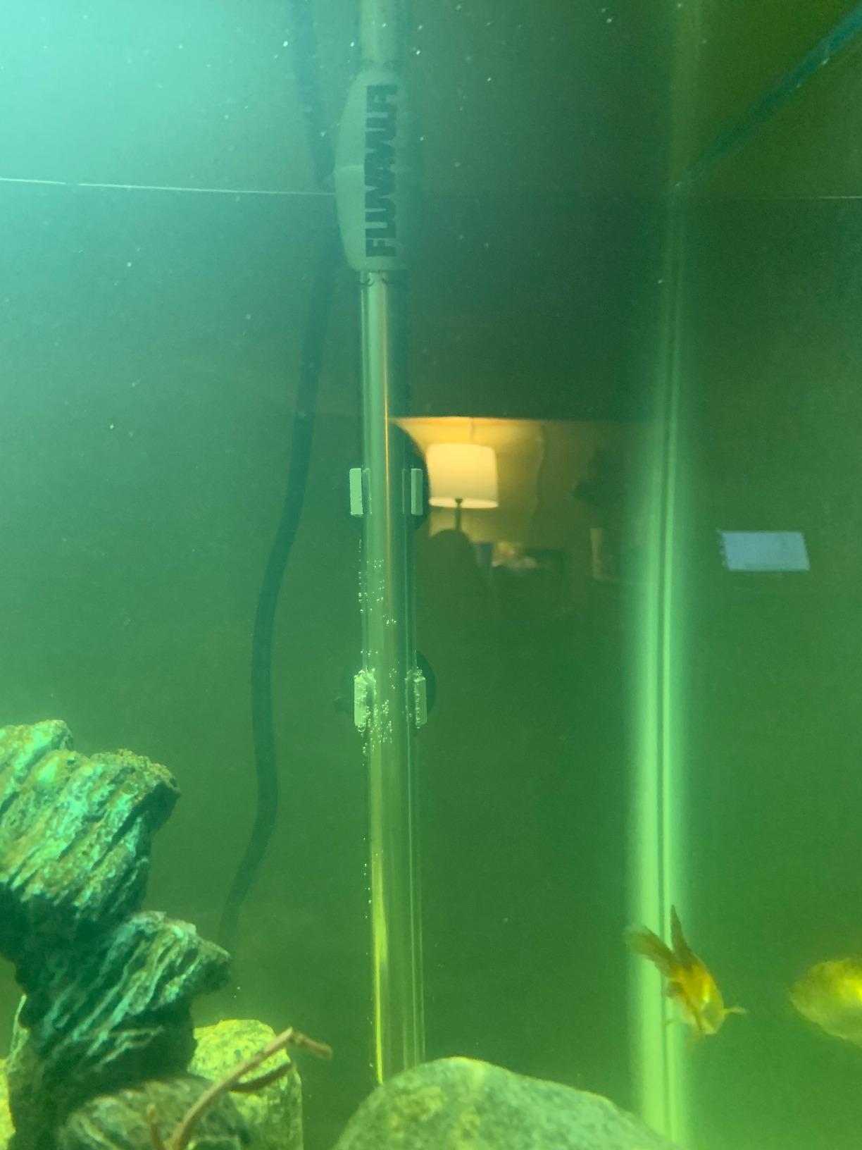 Fluval M 200-Watt Submersible Aquarium Heater for Fresh & Saltwater Tanks customer photo 2