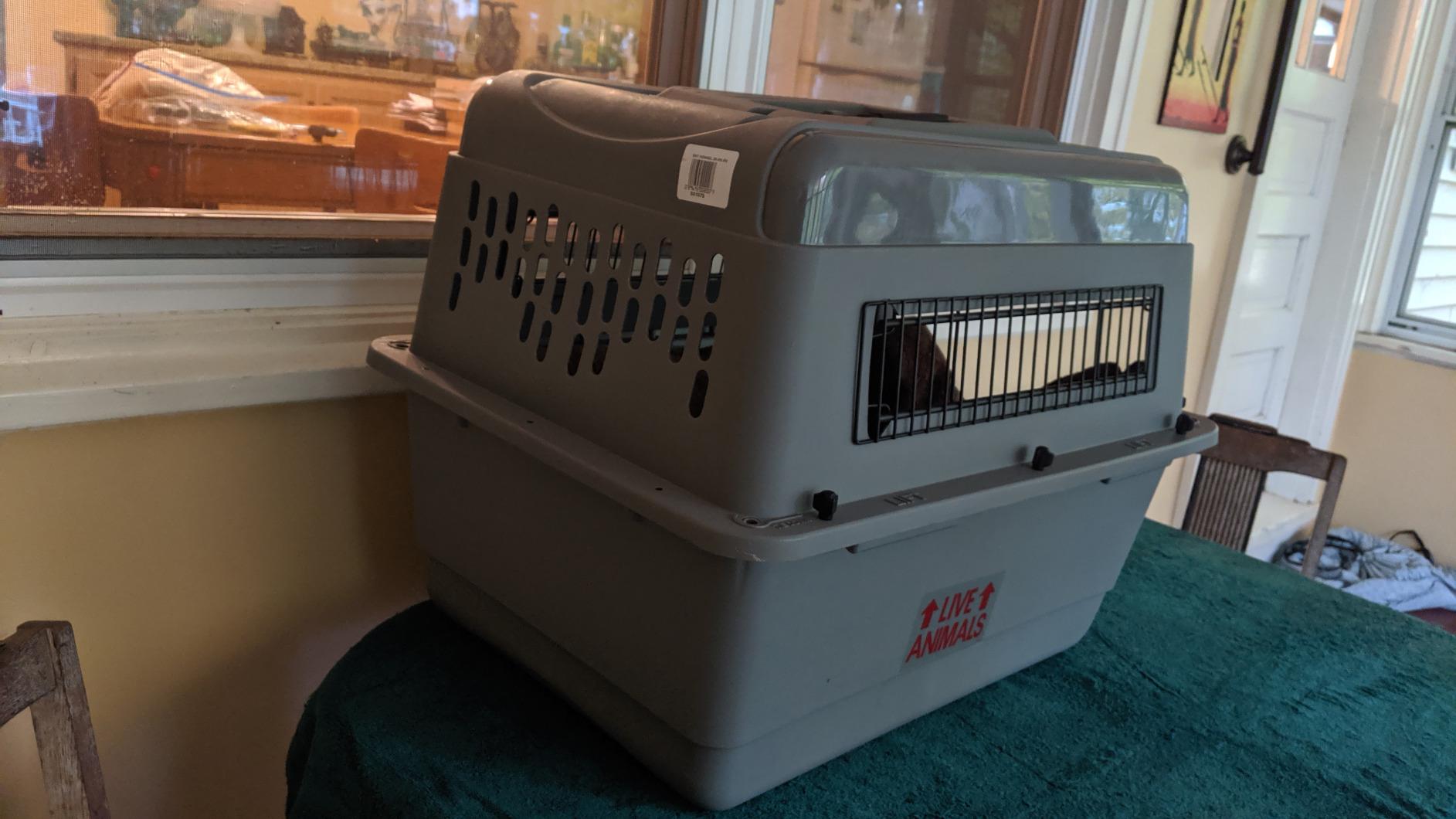 Petmate Sky Kennel for Air Travel, 21in Dog Crate for Pets up to 15lbs customer photo 1