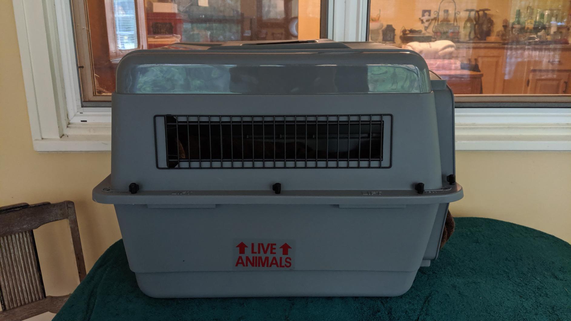 Petmate Sky Kennel for Air Travel, 21in Dog Crate for Pets up to 15lbs customer photo 2