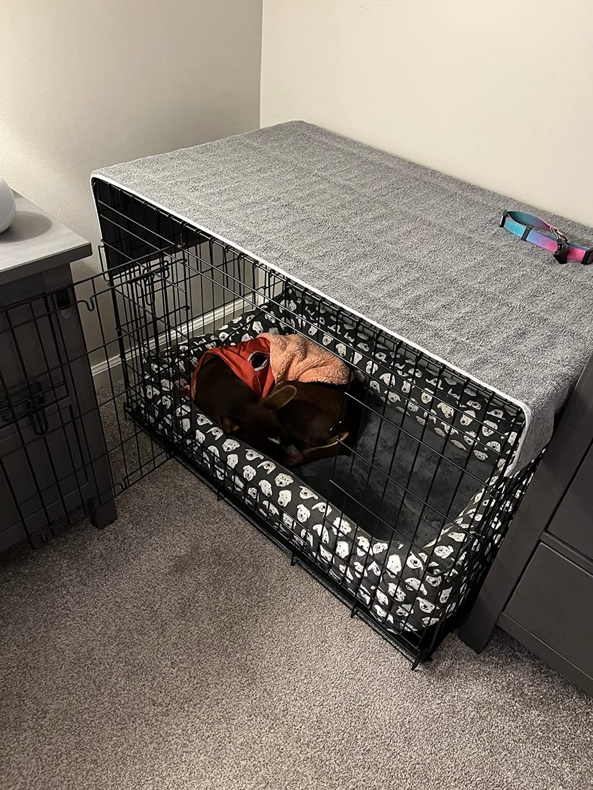 Precision Pet Two-Door Provalue Wire Dog Crate, 36in, for Pets 50-70lbs customer photo 1