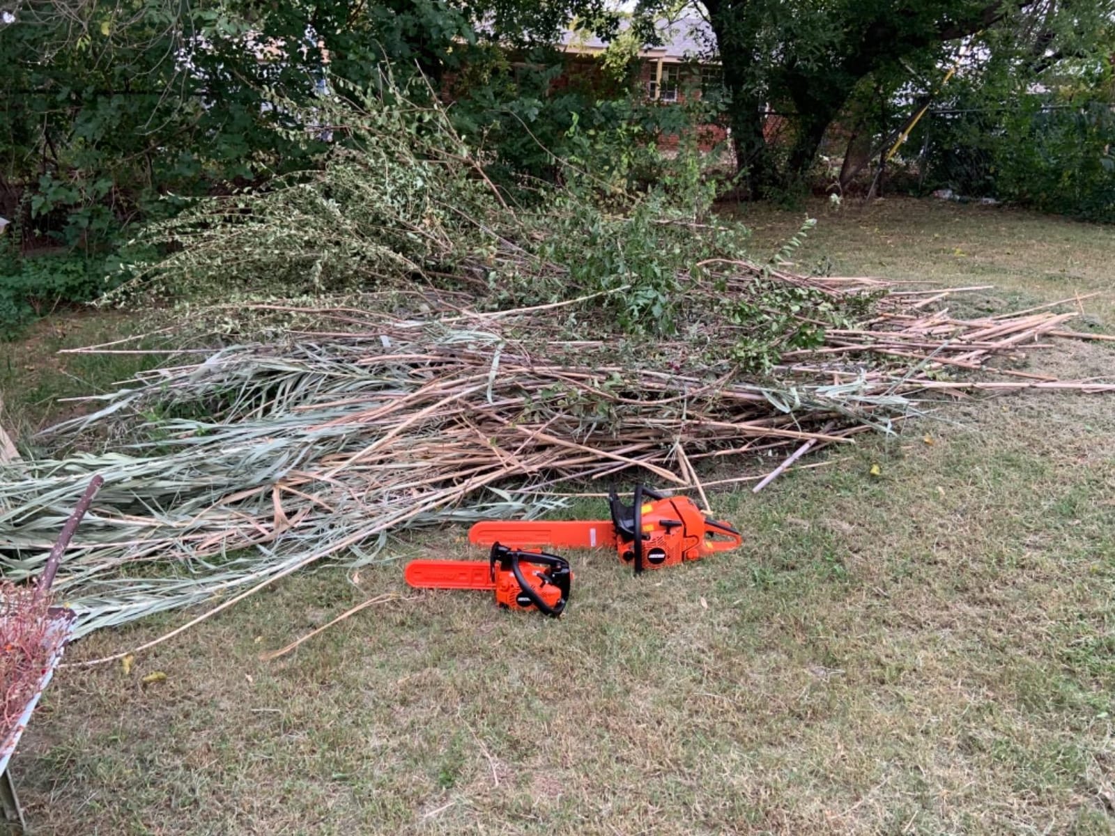 Chain Saw, Gas, 12 In. Bar, 26.9CC customer photo 1
