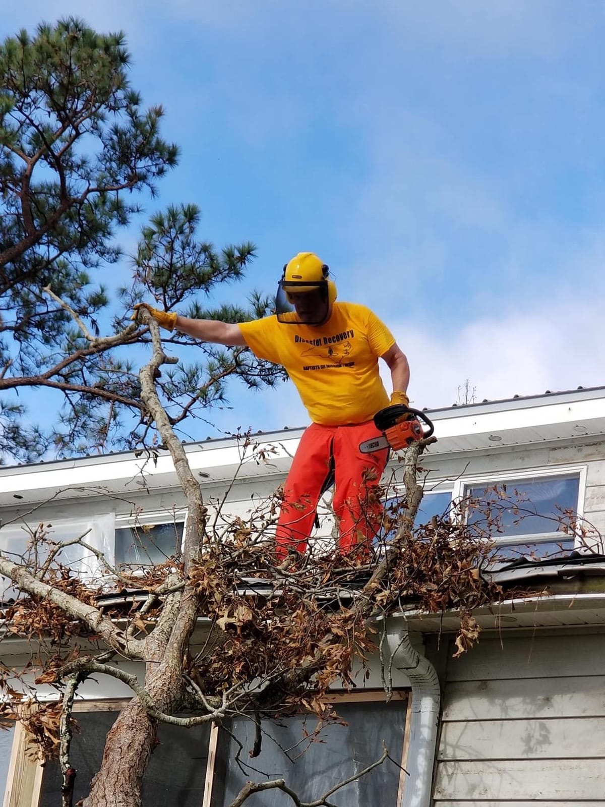 Chain Saw, Gas, 12 In. Bar, 26.9CC customer photo 2