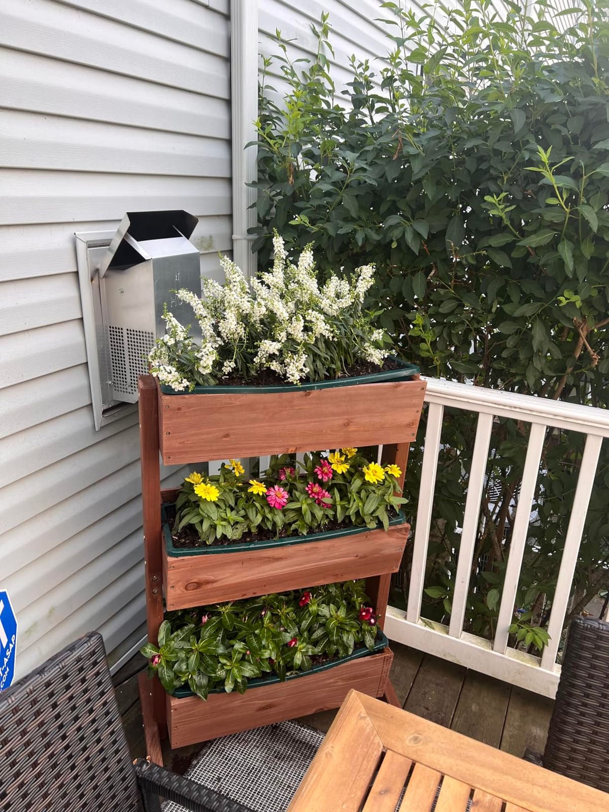 Root & Vessel Poly-Pro Plastic Flower Box Planter, Black, 30-Inch customer photo 1