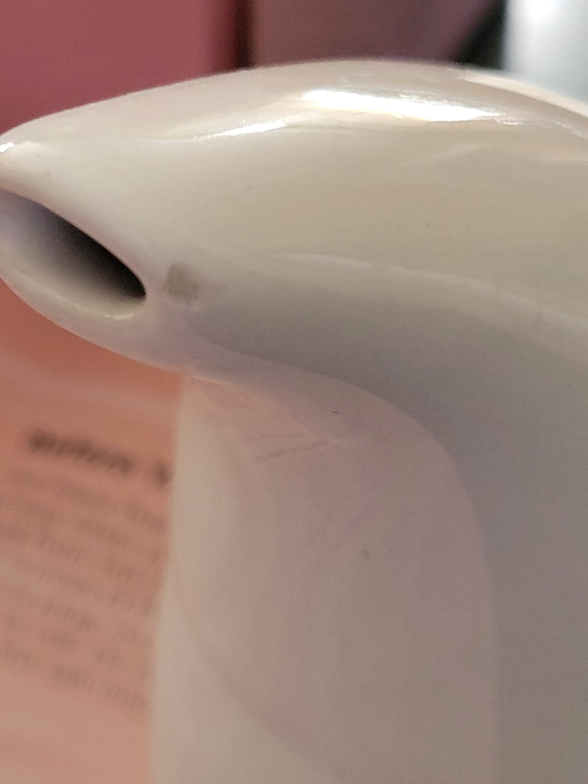 Plant Therapy Pink Himalayan Salt Inhaler customer photo 2