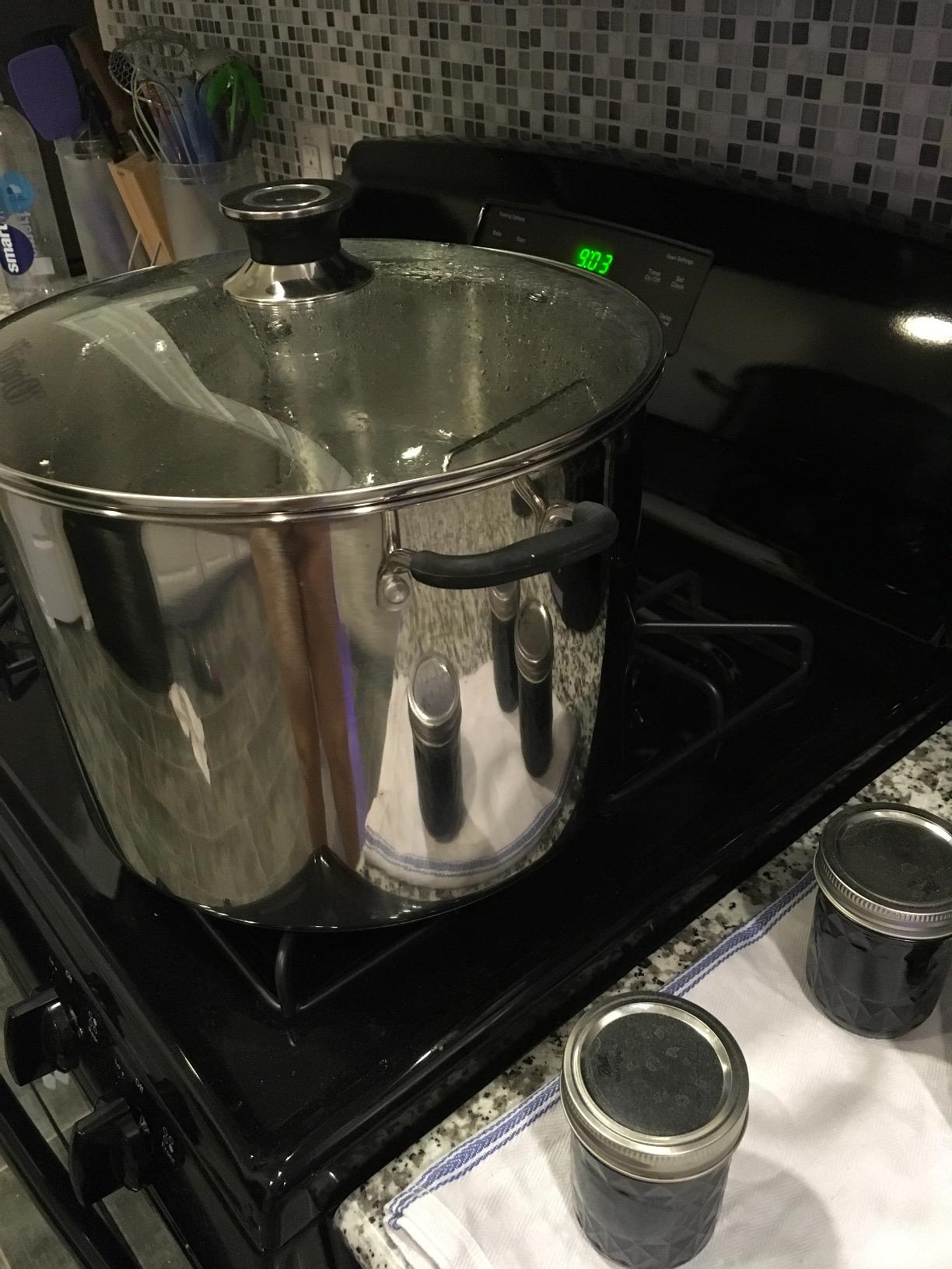 Harvest Stainless Steel 20 Qt Canning Pot with Rack | Water Bath or Steam Canning | Works on All Stovetops Including Induction, Glass, Gas (Stainless Steel Canner + Tools) (Stainless Steel Canner) customer photo 1