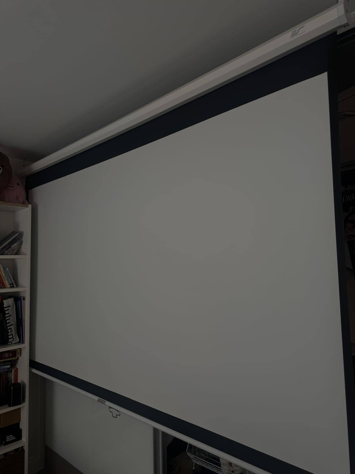 Elite Screens Manual B, 100-INCH Manual Pull Down Projector Screen Diagonal 16:9 Diag 4K 8K 3D Ultra HDR HD Ready Home Theater Movie Office Presentation, M100H customer photo 1