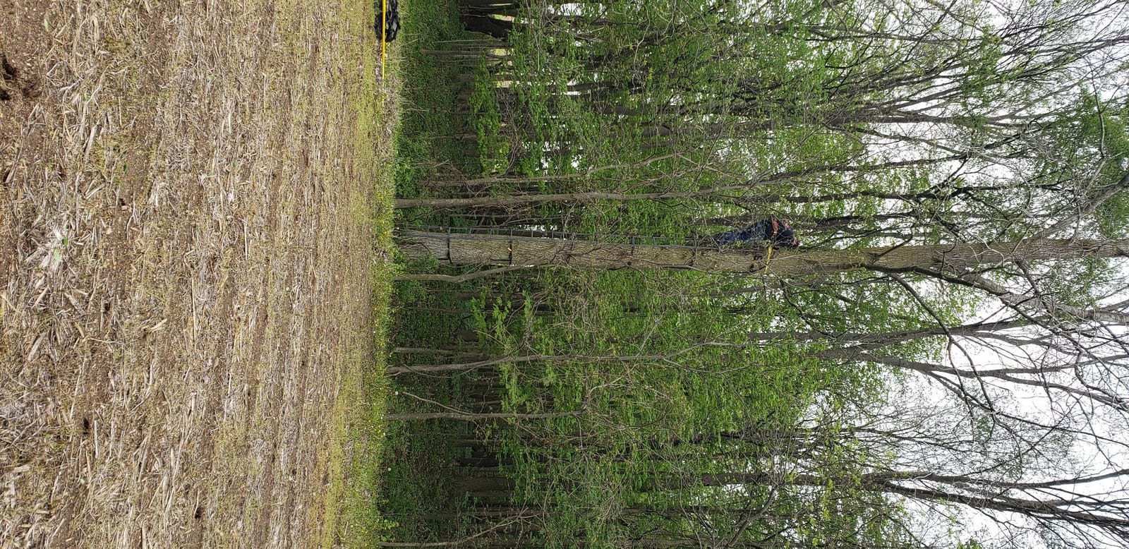 Millennium Treestands Monster Hang-on Treestand customer photo 2