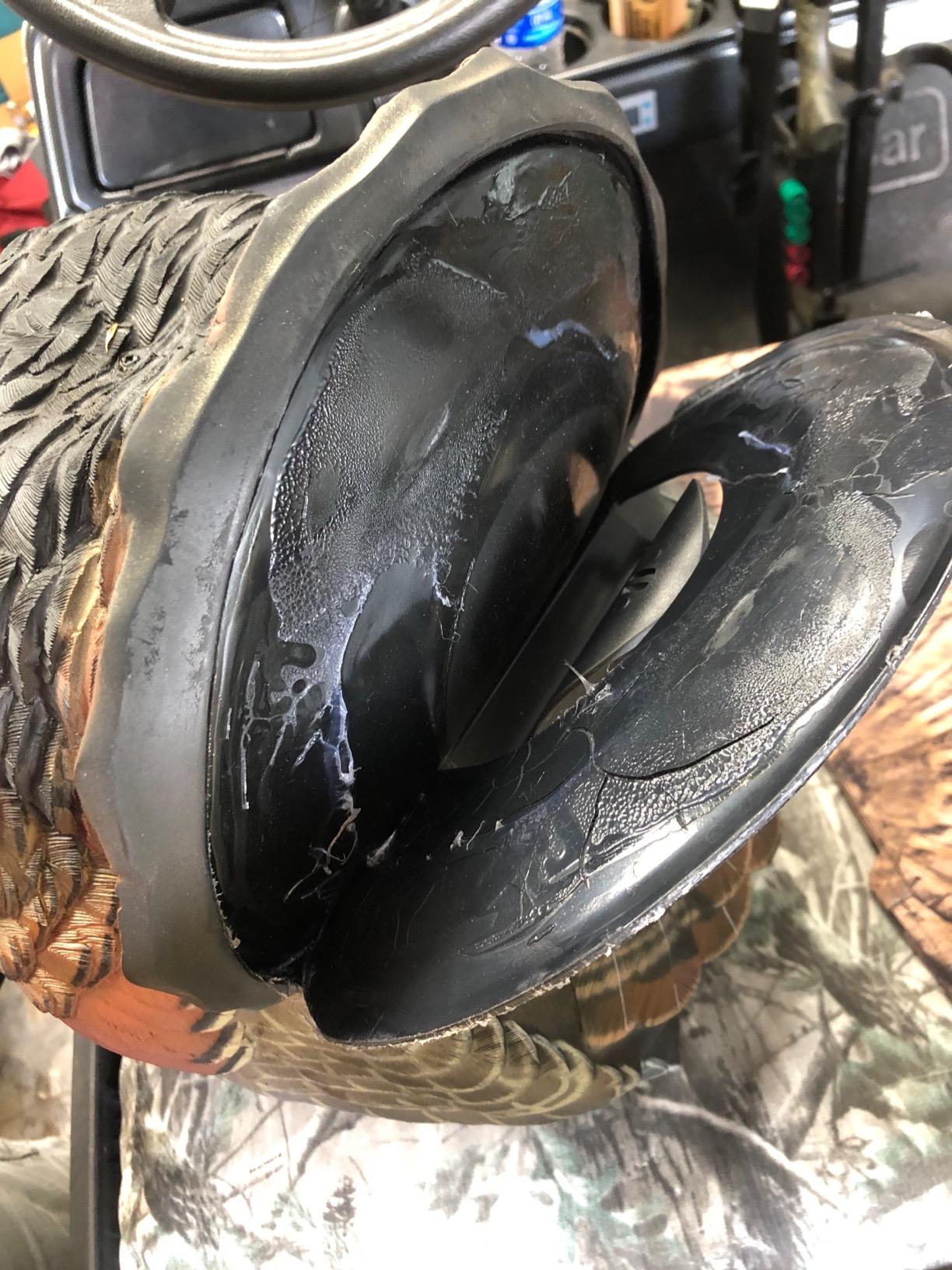 Avian-X LCD Strutter Durable Realistic Lifelike Collapsible Standing Hunting Folding Turkey Decoy with Carry Bag & Stake, AVX8004 customer photo 1